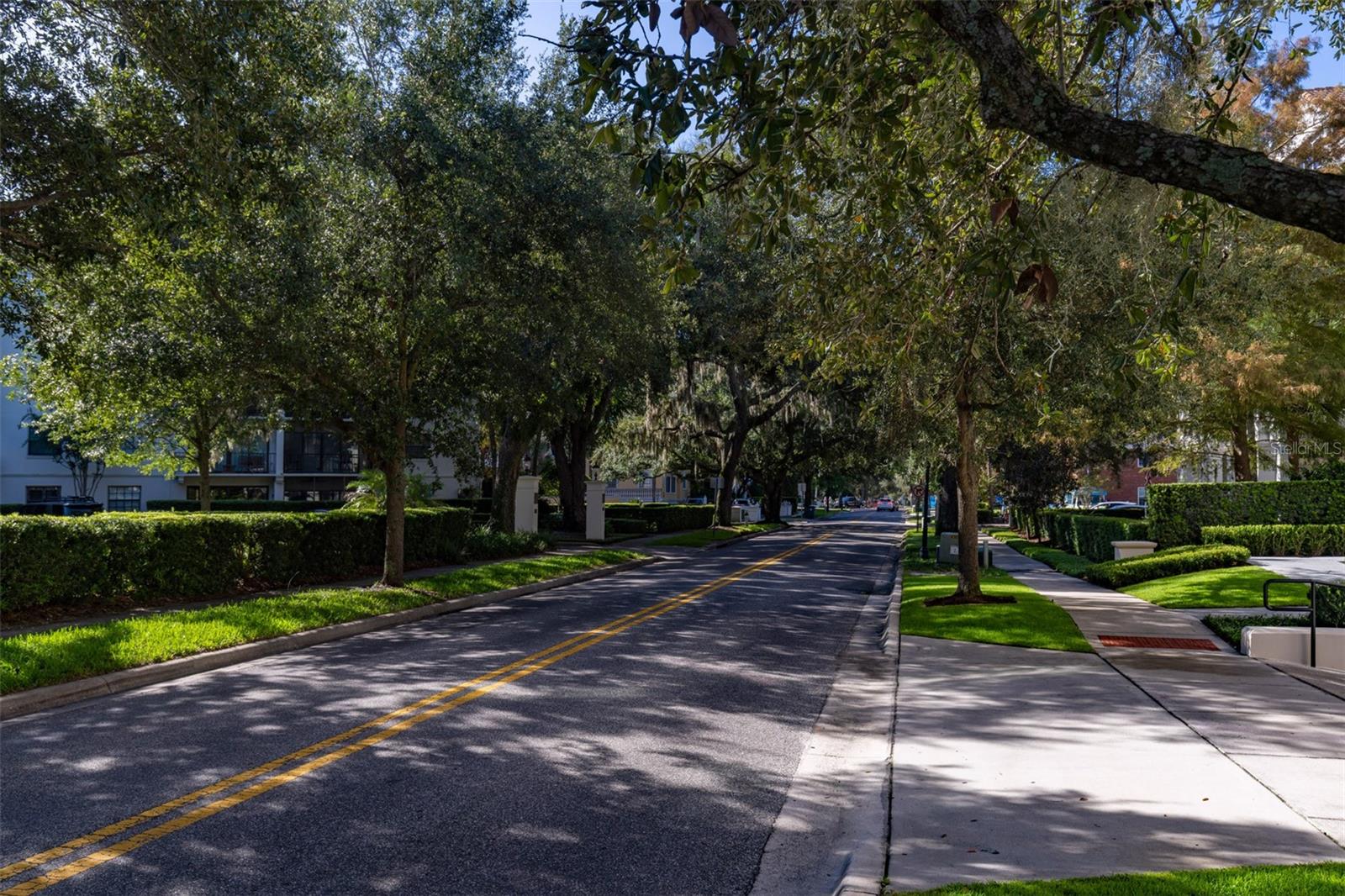 Interlachen street view only a block from Park Avenue