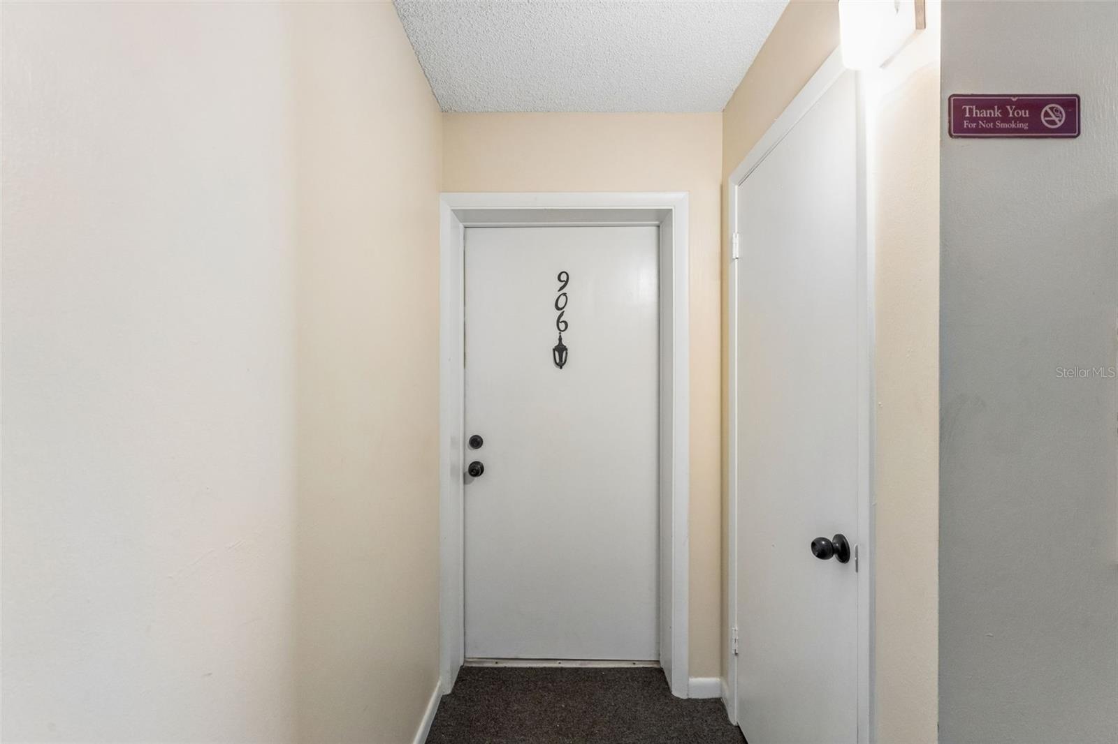 Front Door and Storage Closet Door