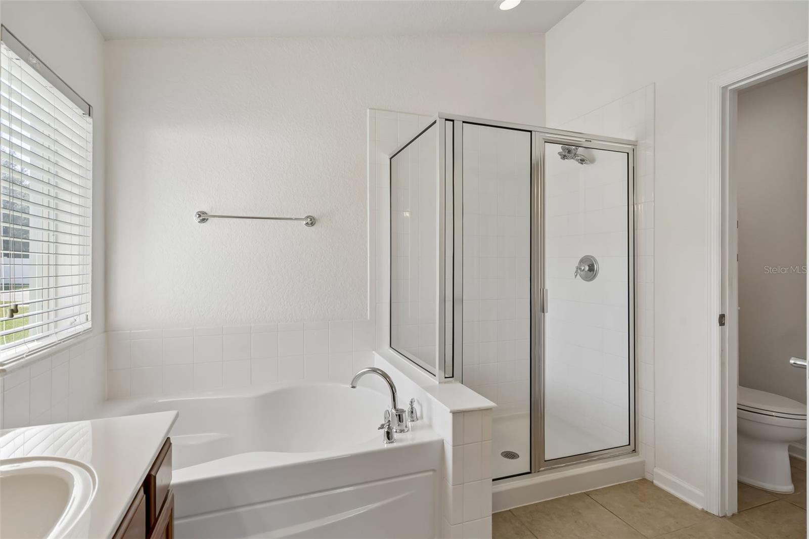 Garden tub and shower