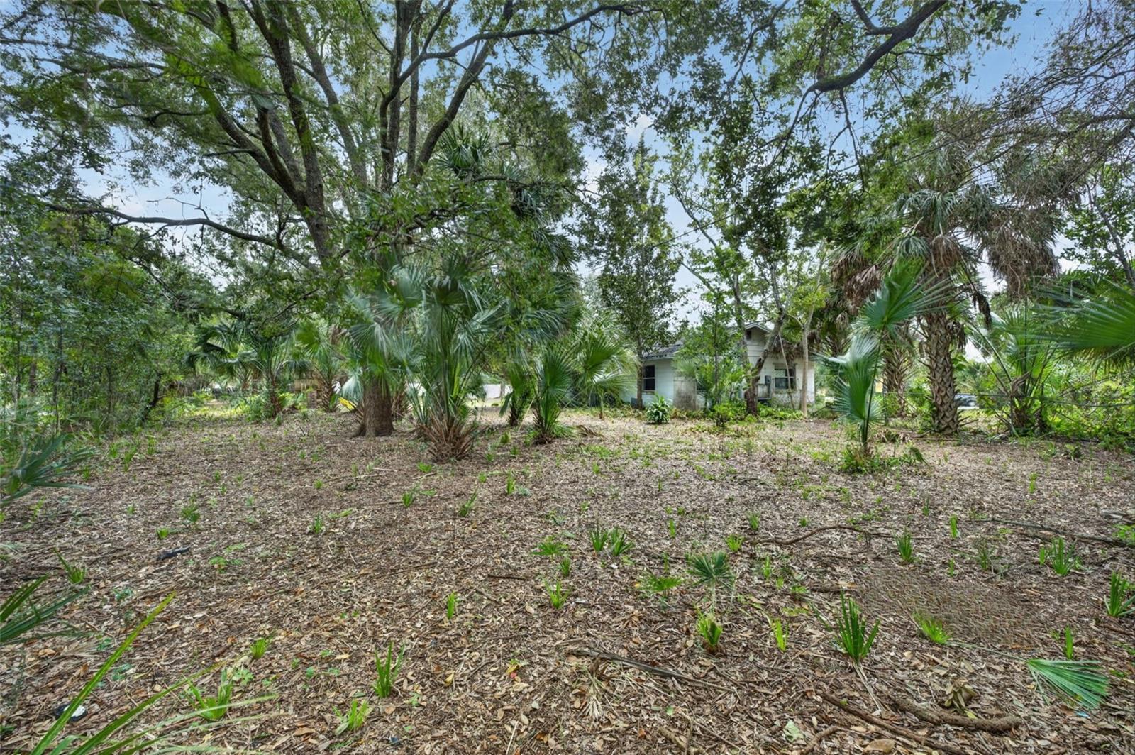 257 LINCOLNSHIRE ROAD, Winter Park, FL 32792