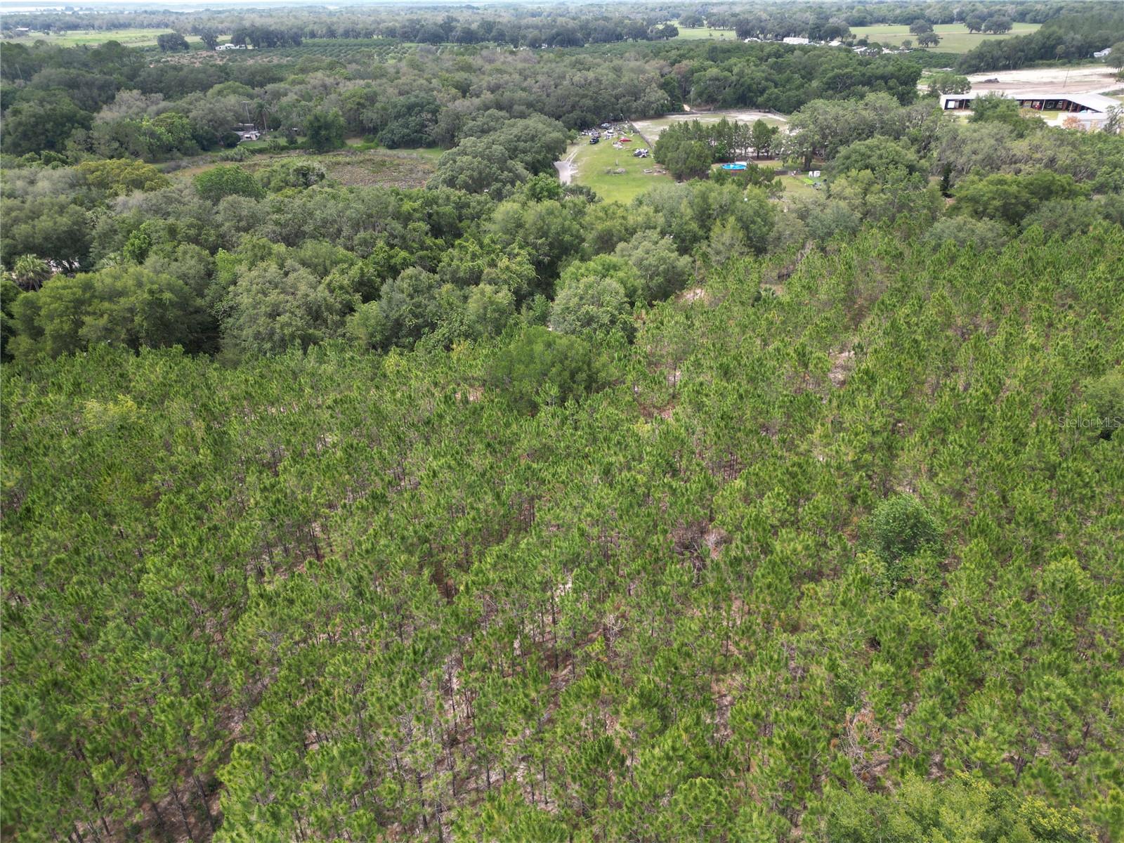An aerial photo of the site showing the current tree density.