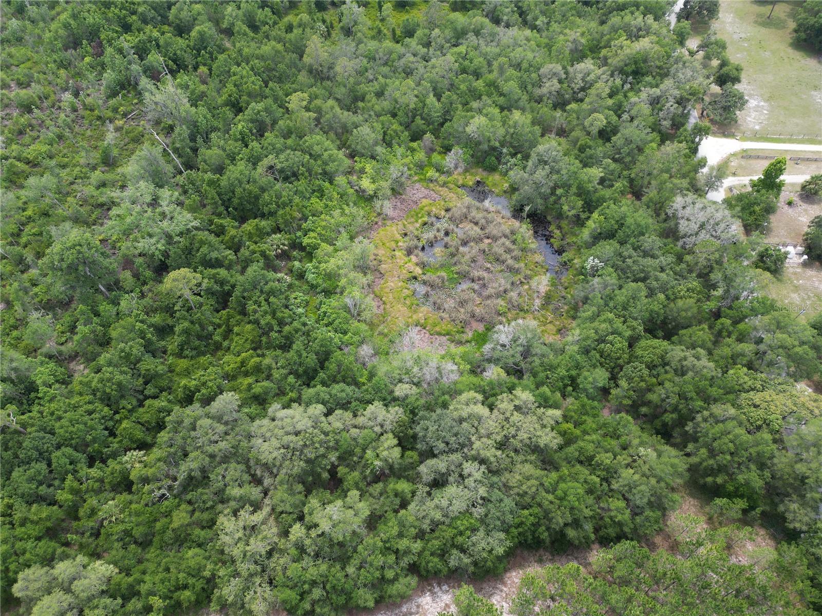 An aerial photo of the site showing part of the wetlands.