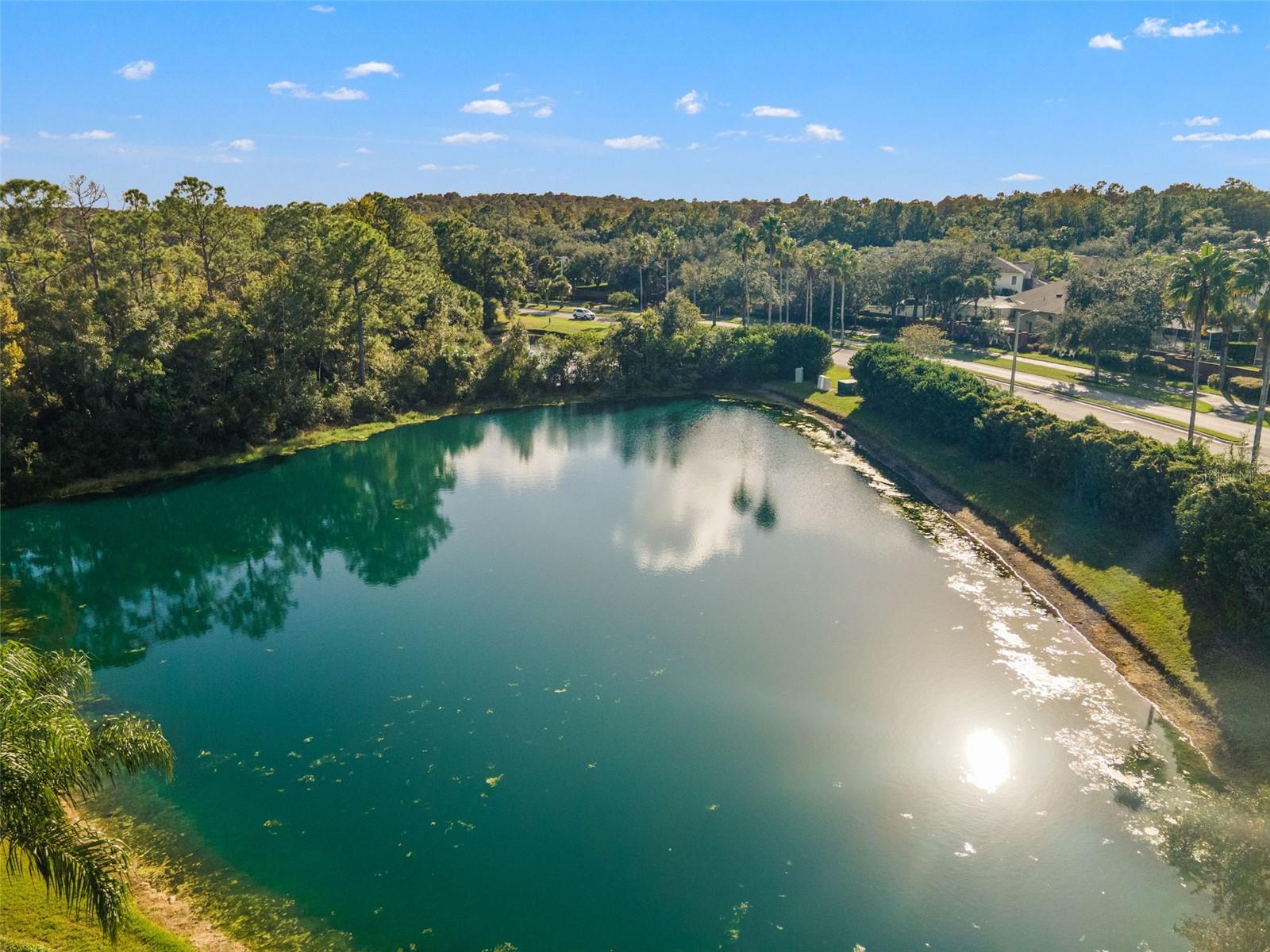Aerial pond view