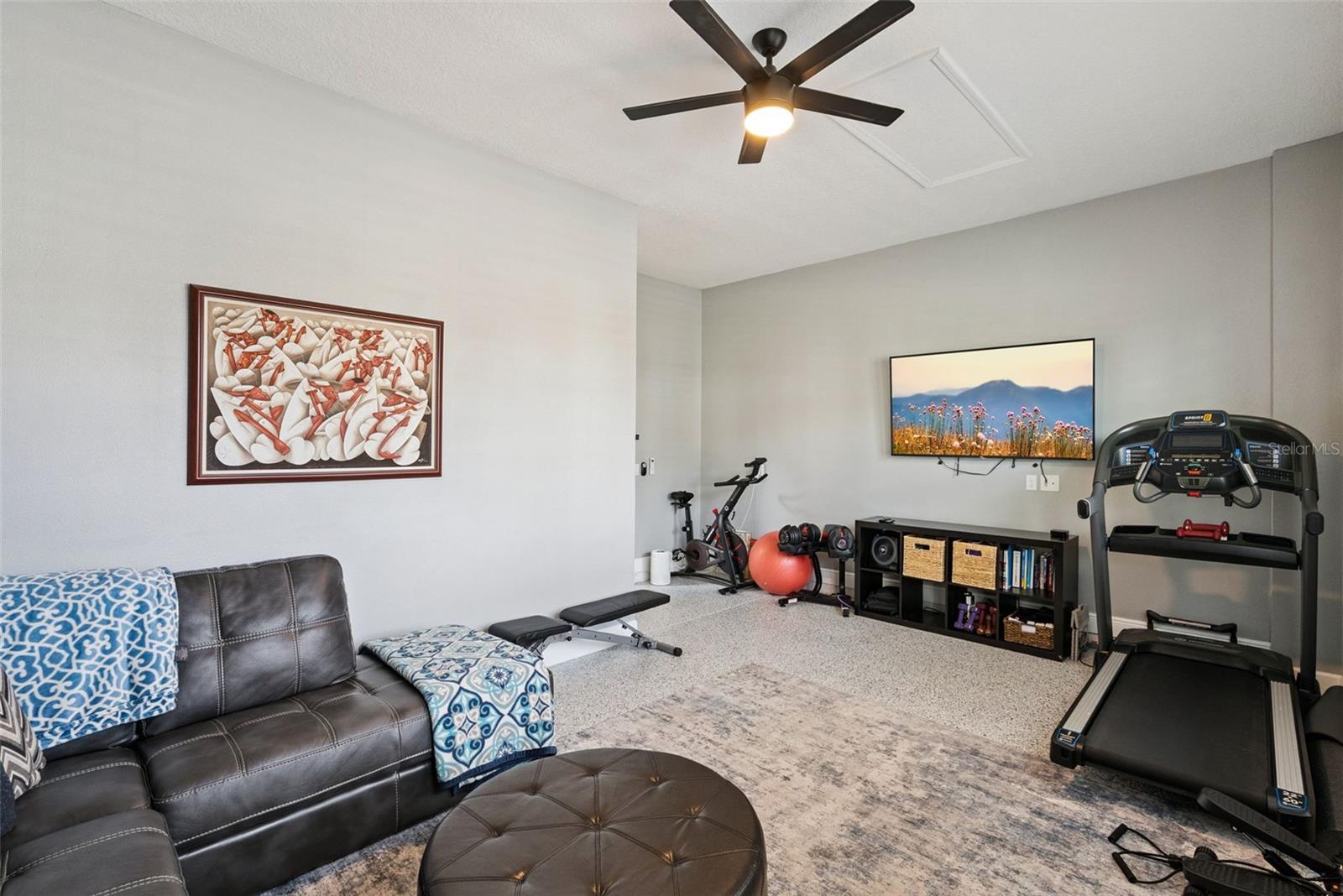 Flex space (converted 3rd car garage bay) w/ mini split climate control