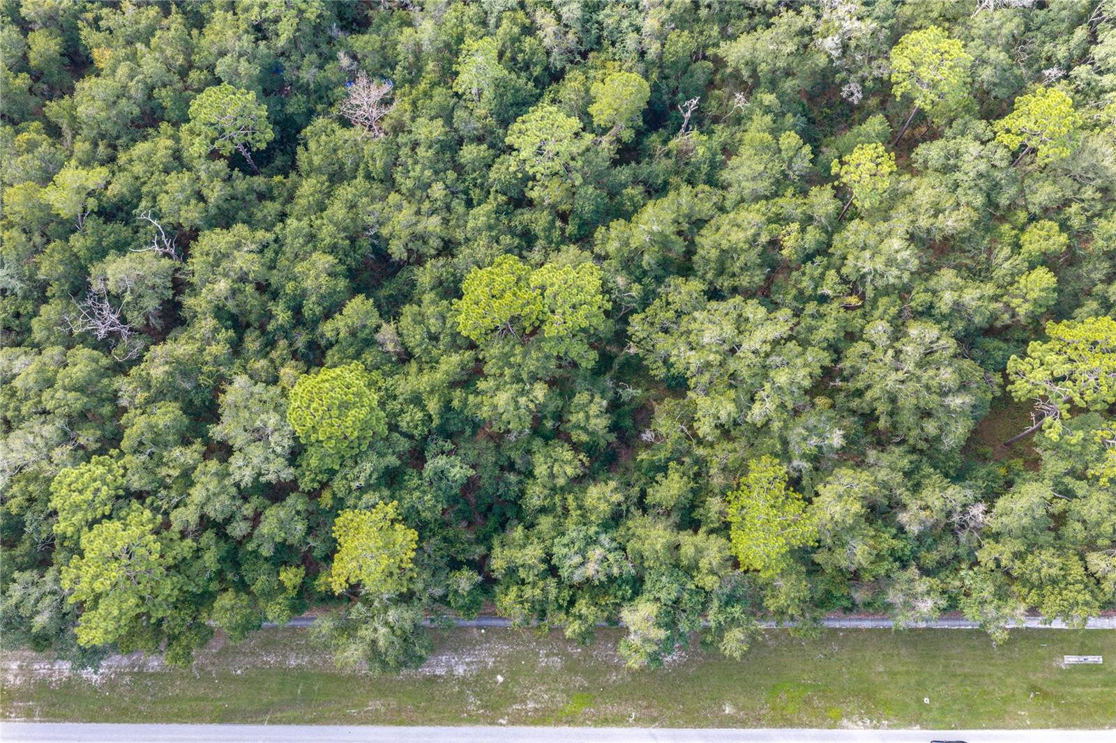 N/A E RHODE ISLAND AVE AVENUE, Orange City, FL 32763