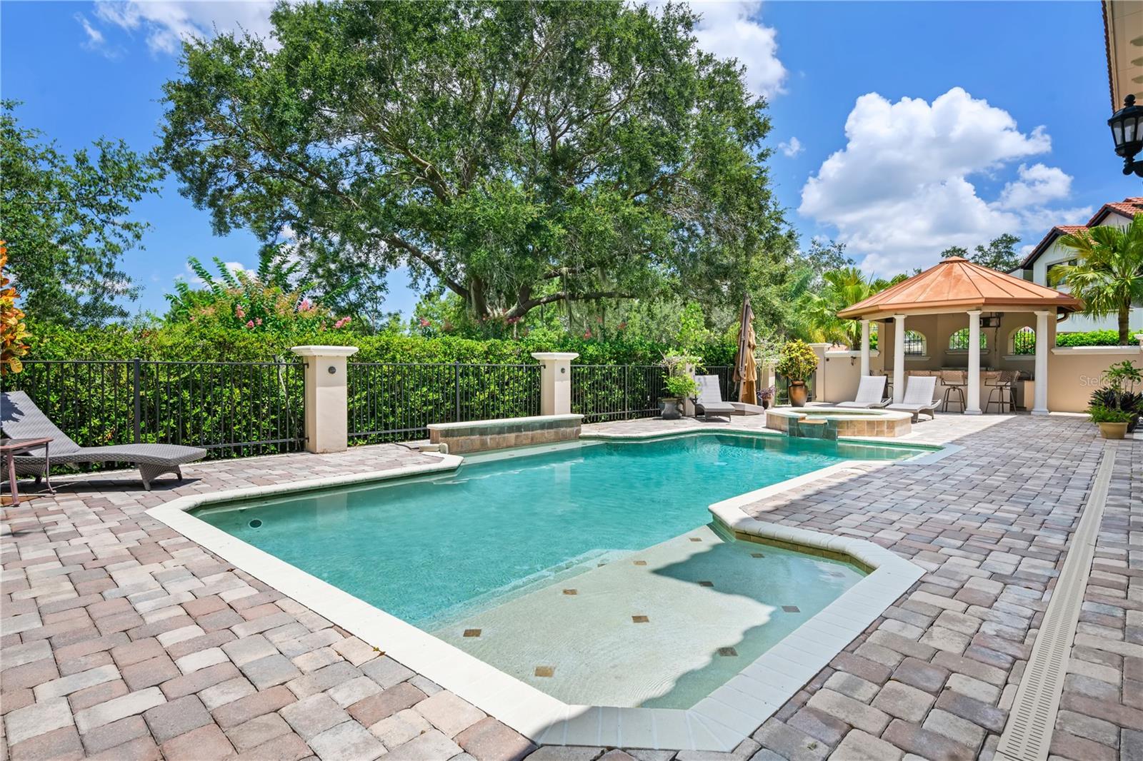 11209 MACAW COURT, Windermere, FL 34786