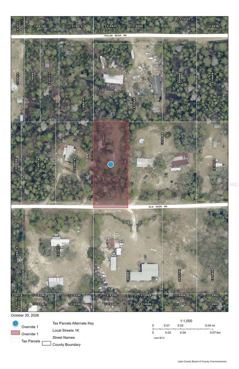OLD DEER ROAD, Paisley, FL 32767