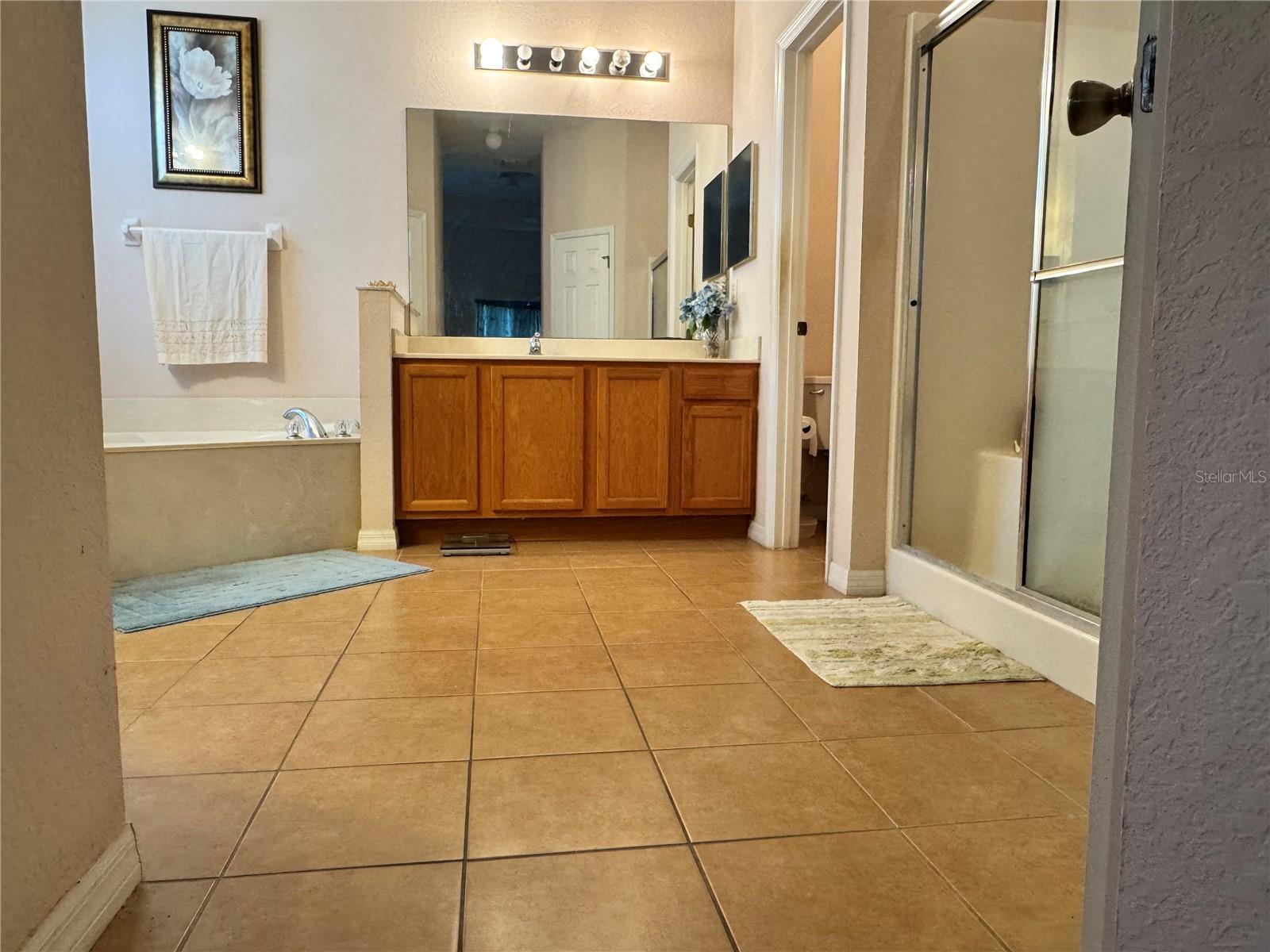 439 BAY LEAF DRIVE, Poinciana, FL 34759