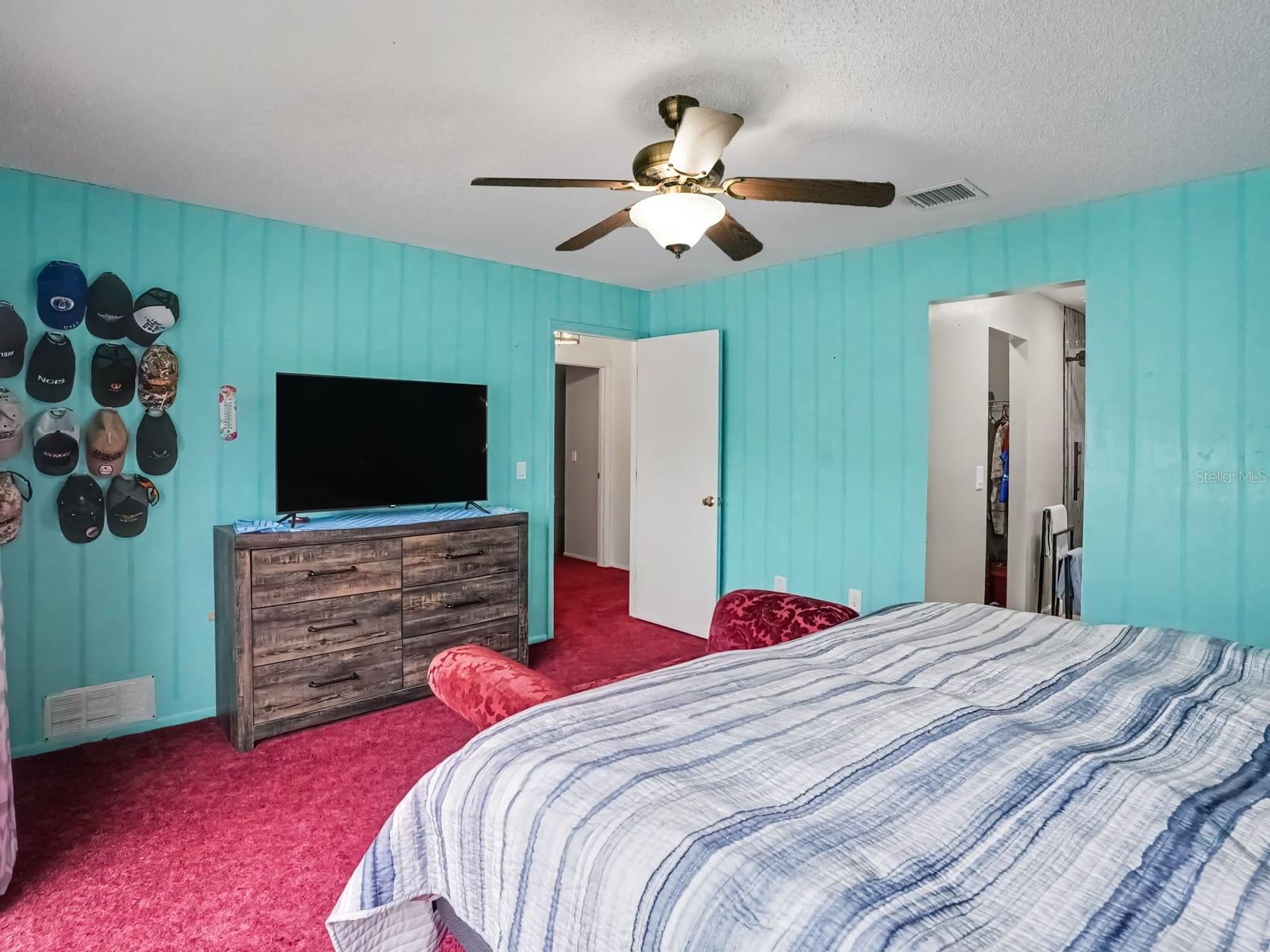 Primary Suite with Turquoise Accent Walls, TV, and Multiple Closets Primary Suite with Turquoise Accent Walls, TV, and Multiple Closets