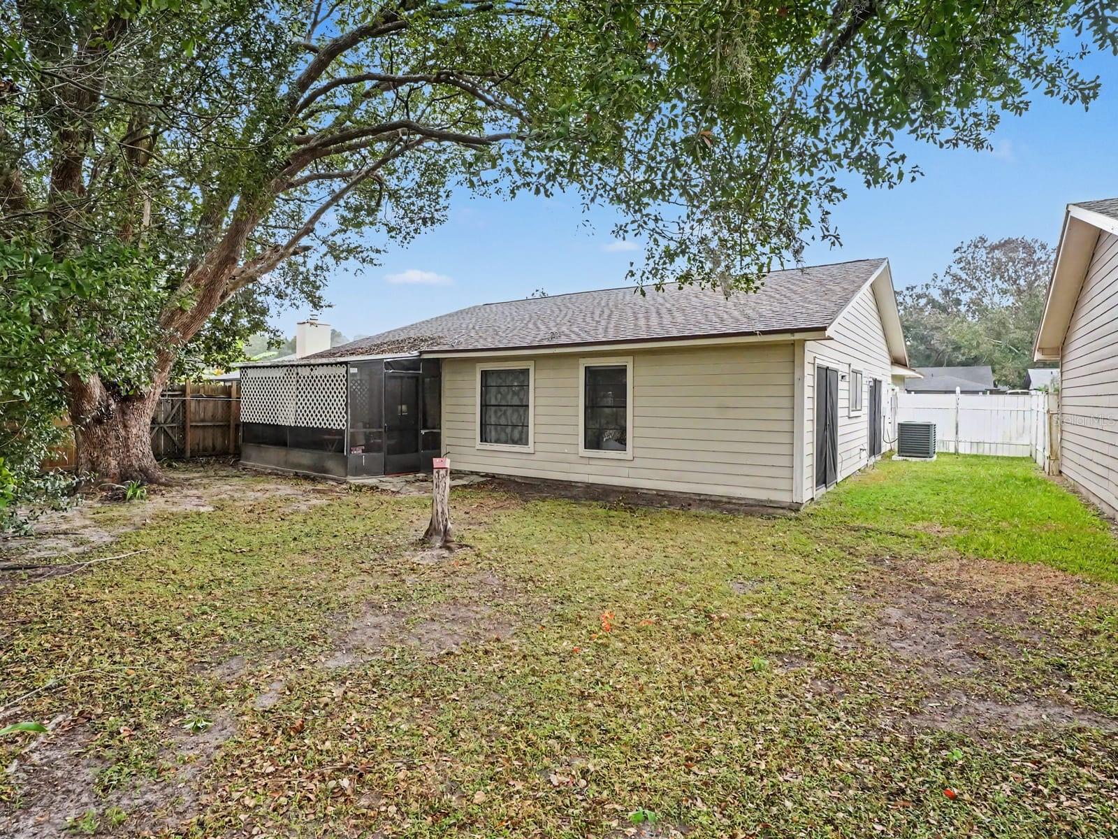Private Backyard with Large Tree and Screened Porch Area