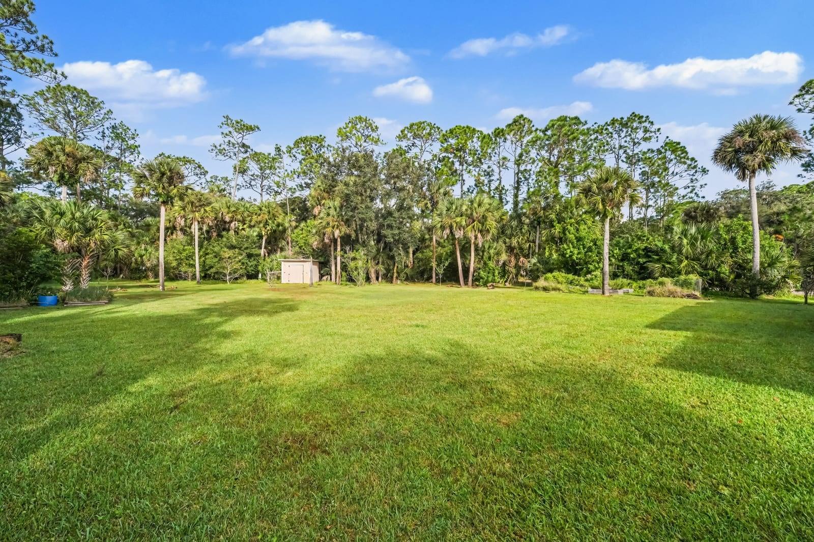 Expansive Landscaped Grounds With Native Trees and Storage Shed