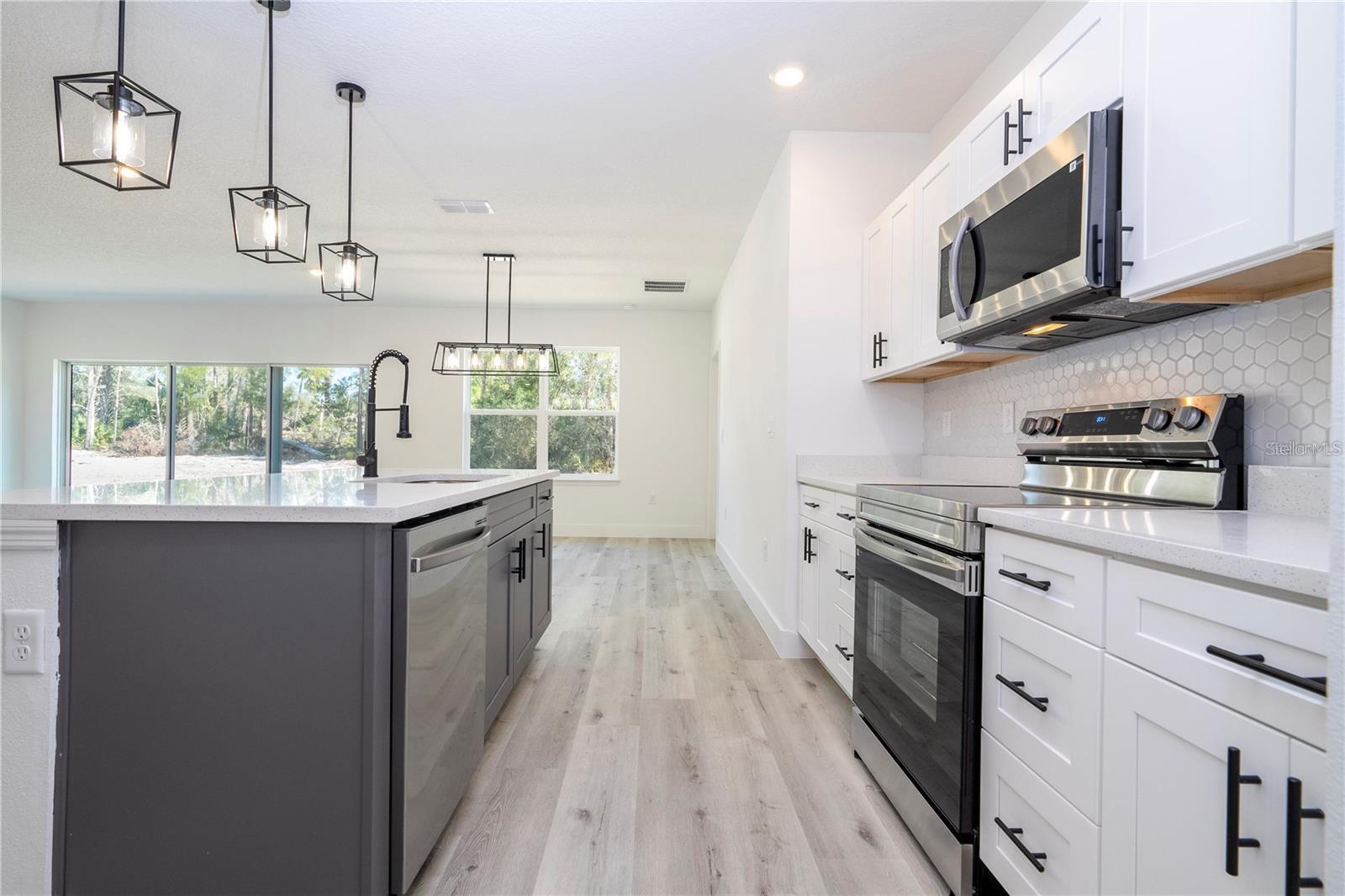 42024 CHINABERRY STREET, Eustis, FL 32736