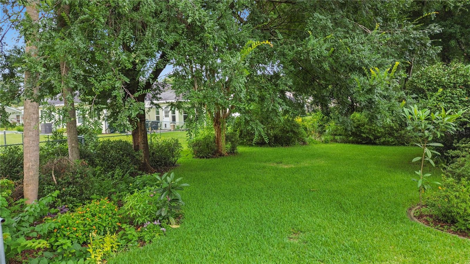 Backyard Backyard
