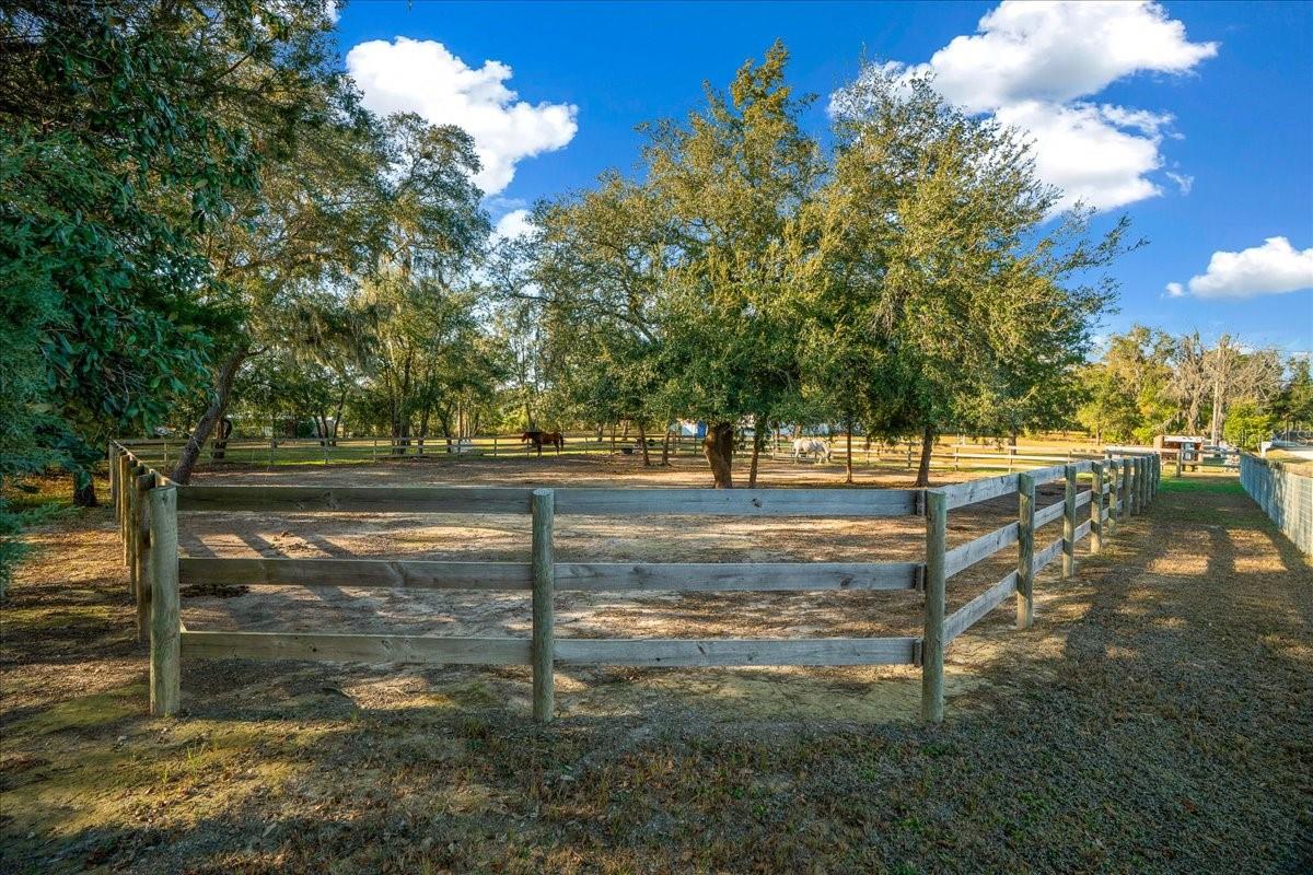 6250 SE 150TH AVENUE, Morriston, FL 32668