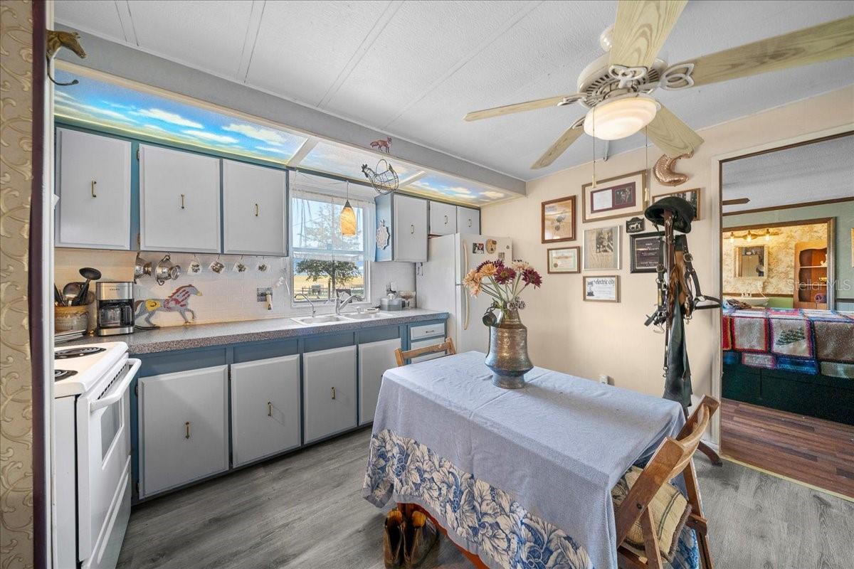 6250 SE 150TH AVENUE, Morriston, FL 32668