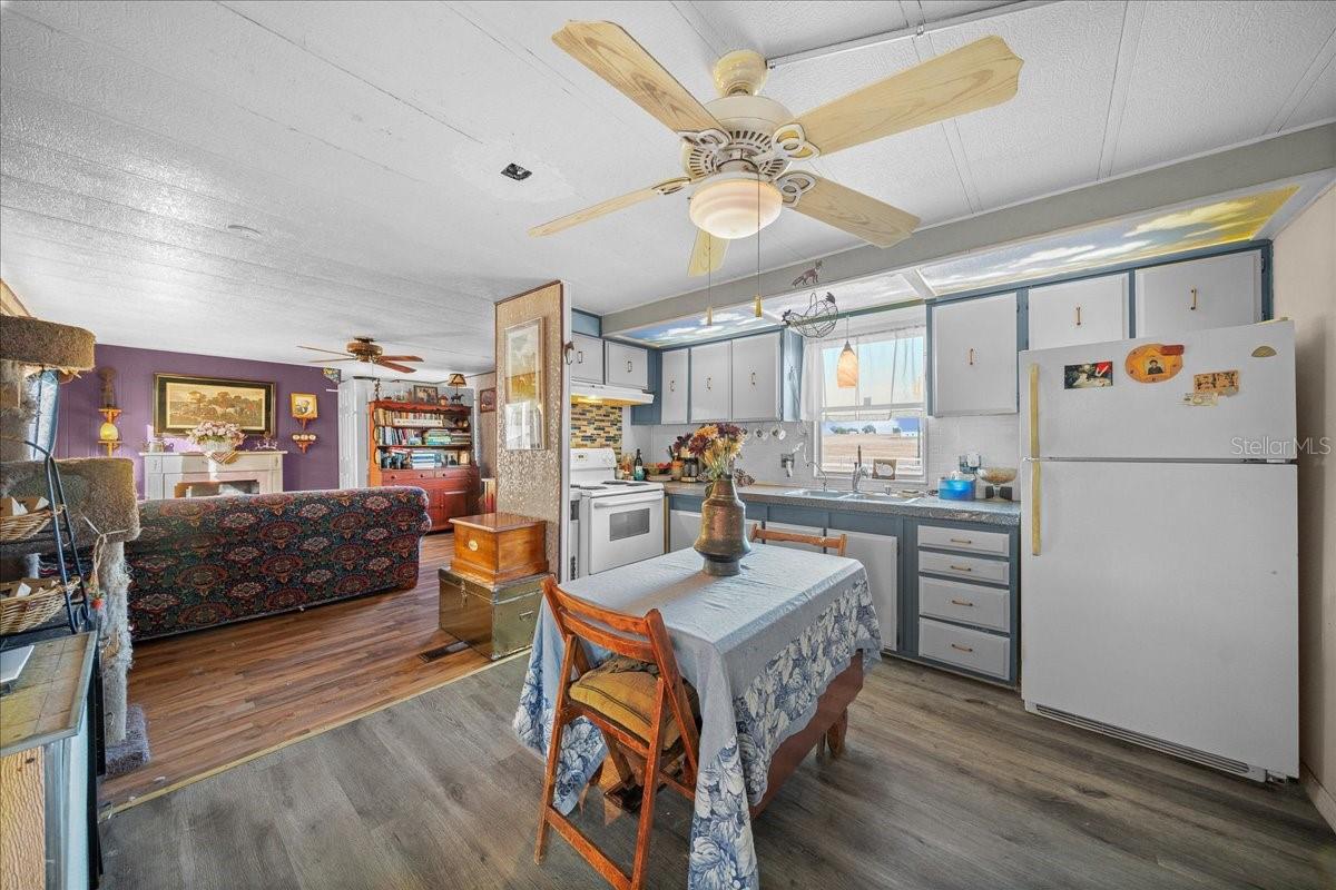 6250 SE 150TH AVENUE, Morriston, FL 32668