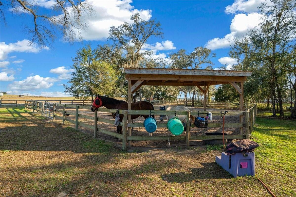 6250 SE 150TH AVENUE, Morriston, FL 32668