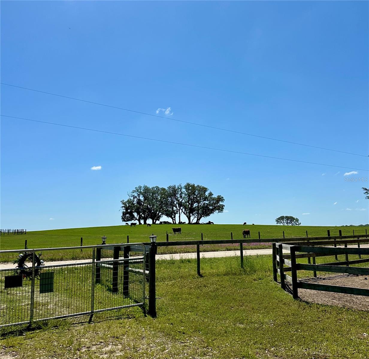 6250 SE 150TH AVENUE, Morriston, FL 32668