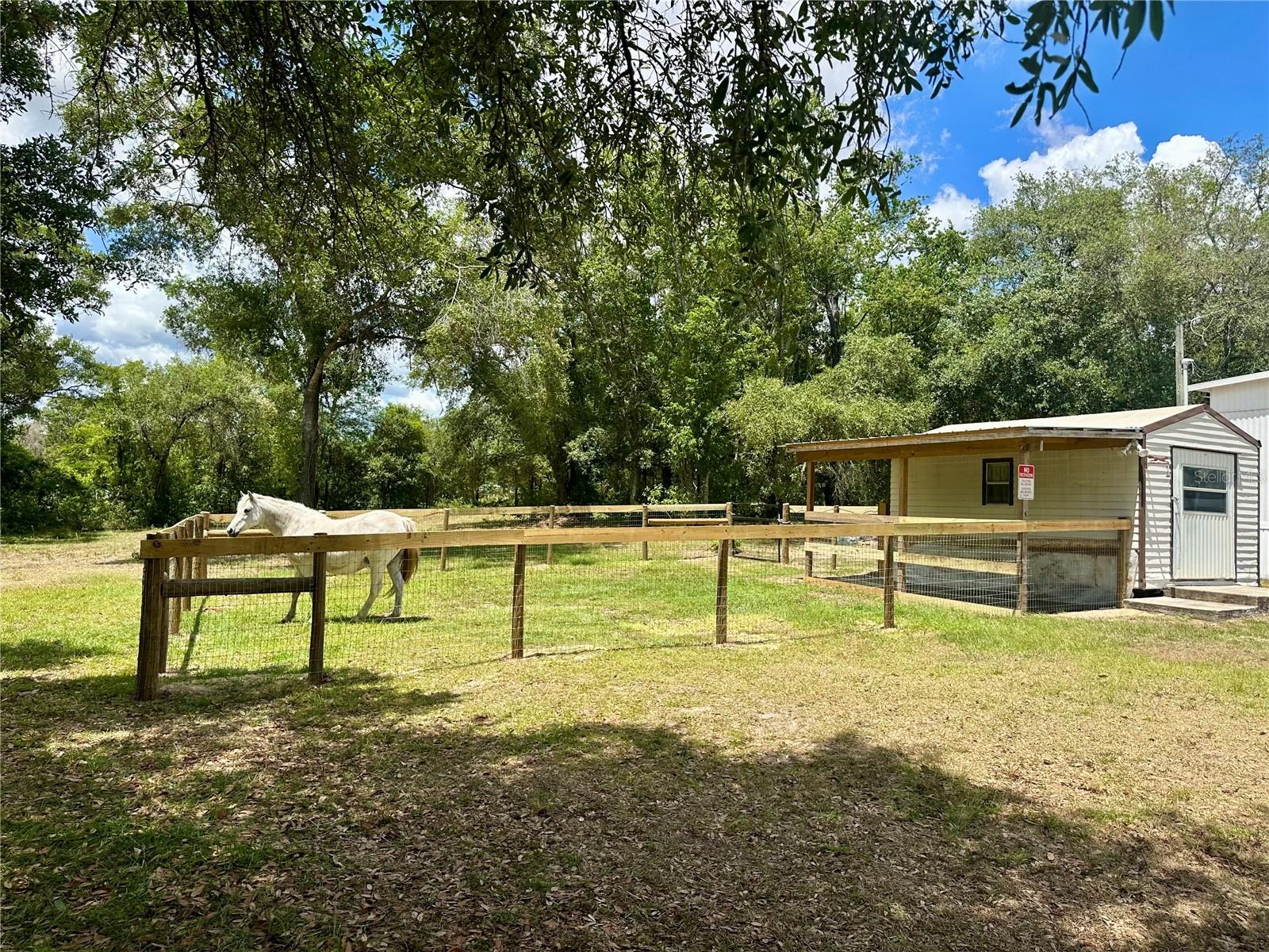 6250 SE 150TH AVENUE, Morriston, FL 32668