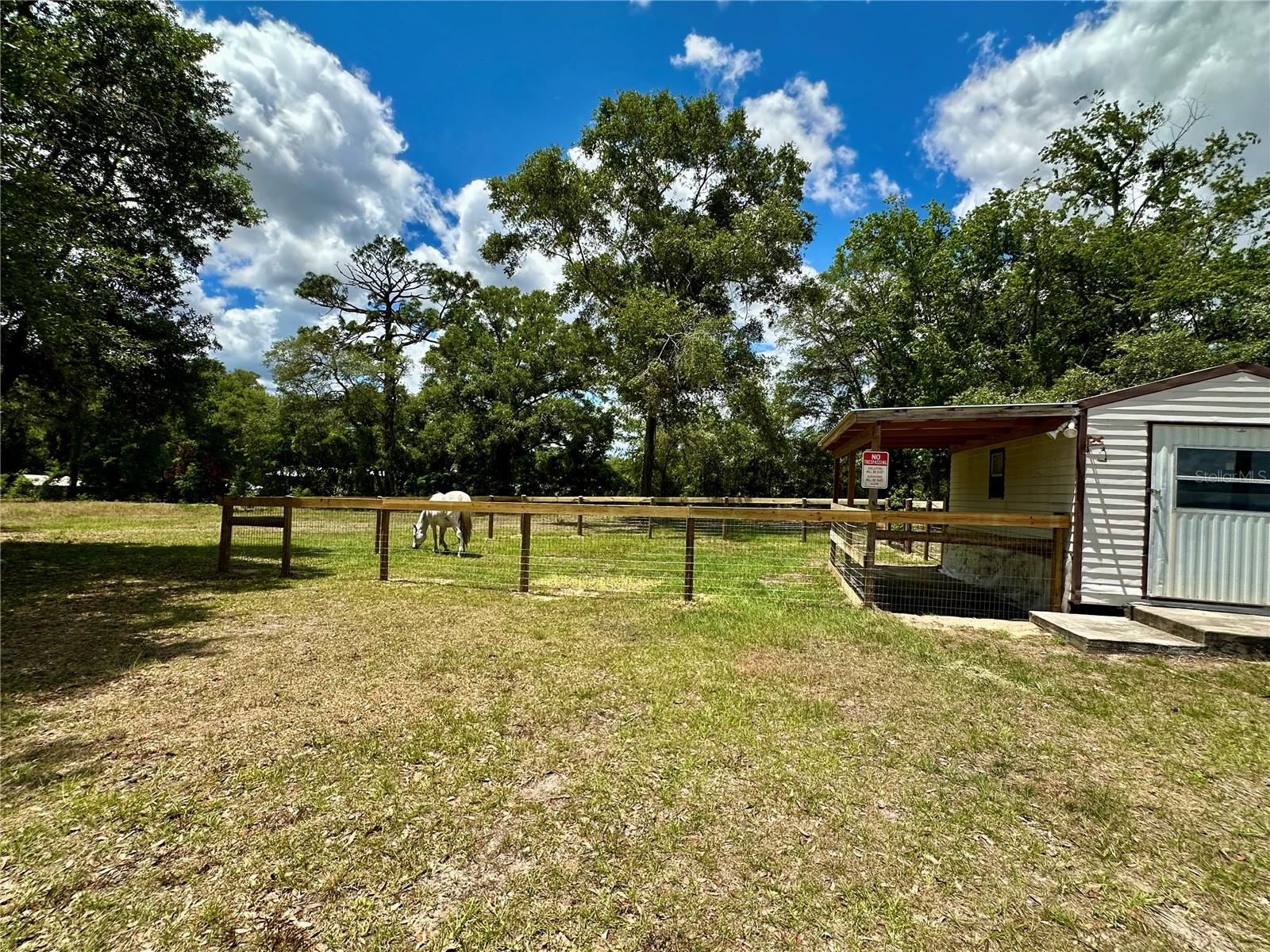 6250 SE 150TH AVENUE, Morriston, FL 32668