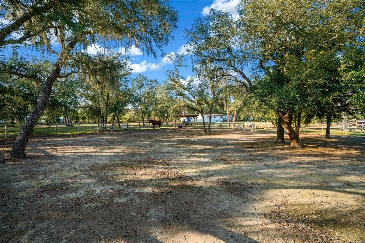6250 SE 150TH AVENUE, Morriston, FL 32668