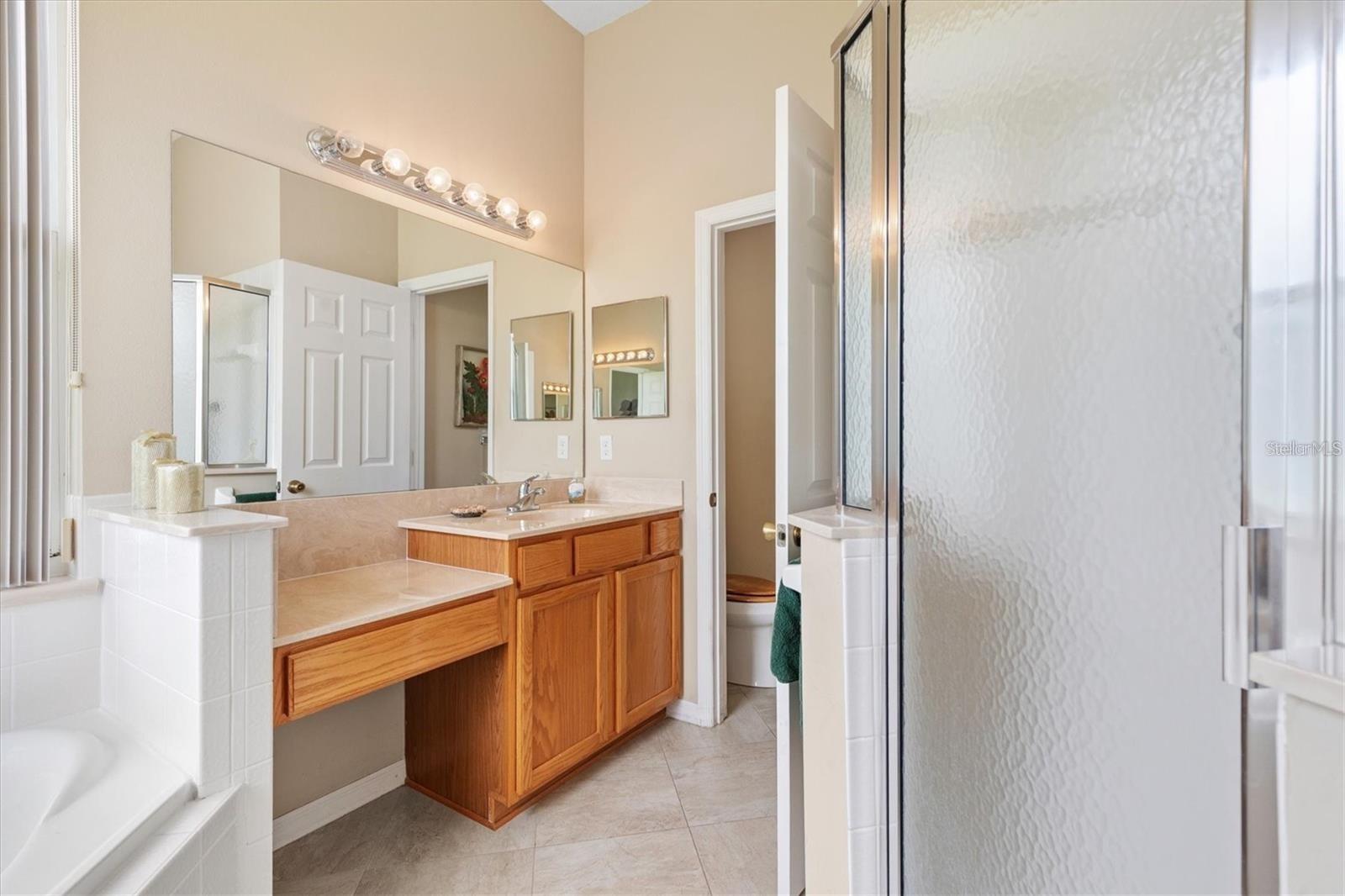 17584 SE 119TH CIRCLE, Summerfield, FL 34491