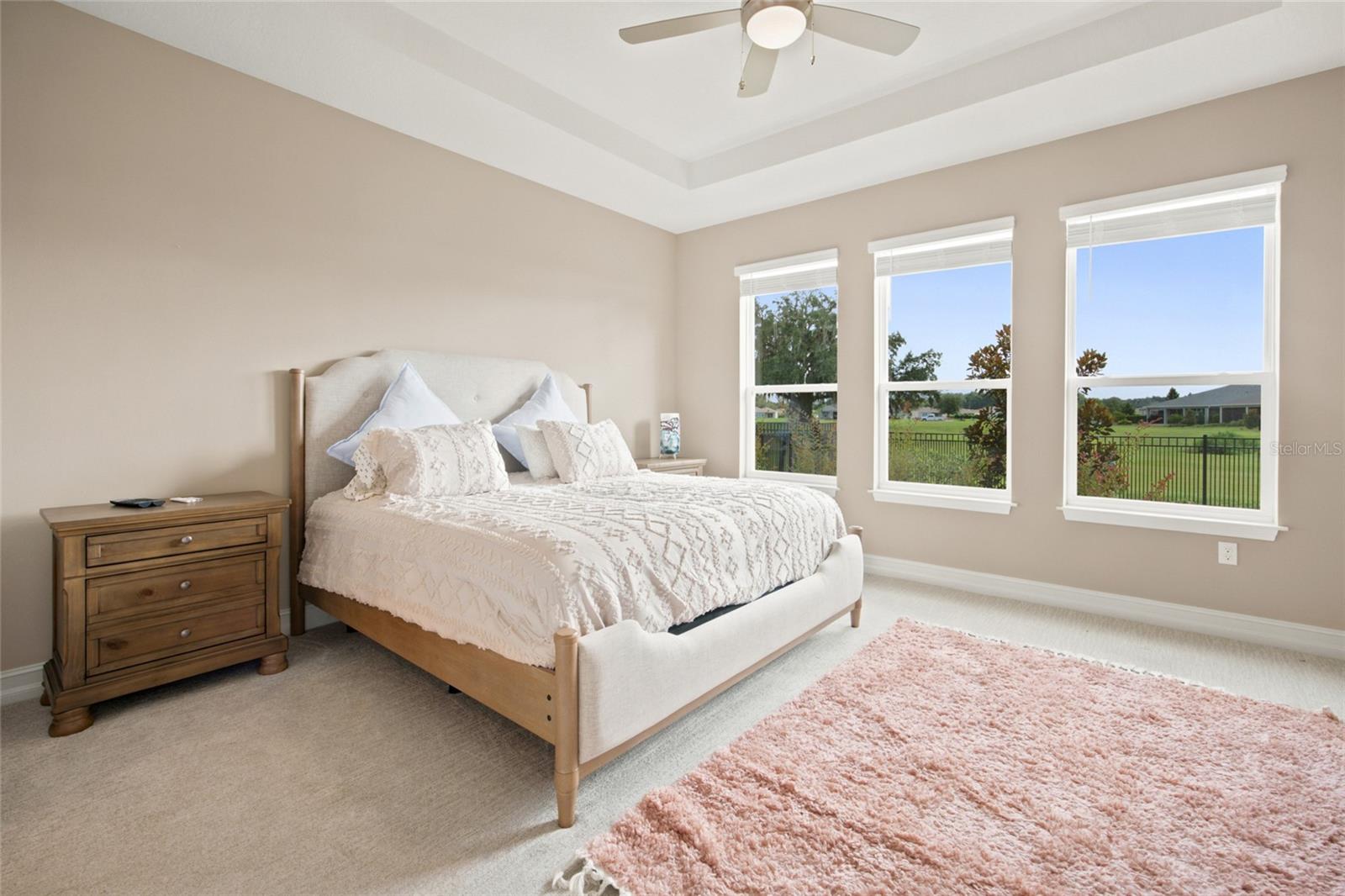 Generously sized primary bedroom featuring a tray ceiling and three windows overlooking the backyard.