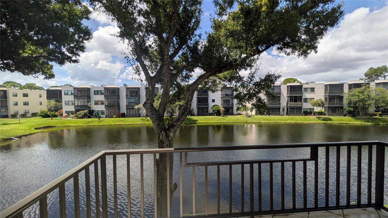 5980 TERRACE PARK DRIVE N, #206, St Petersburg, FL 33709