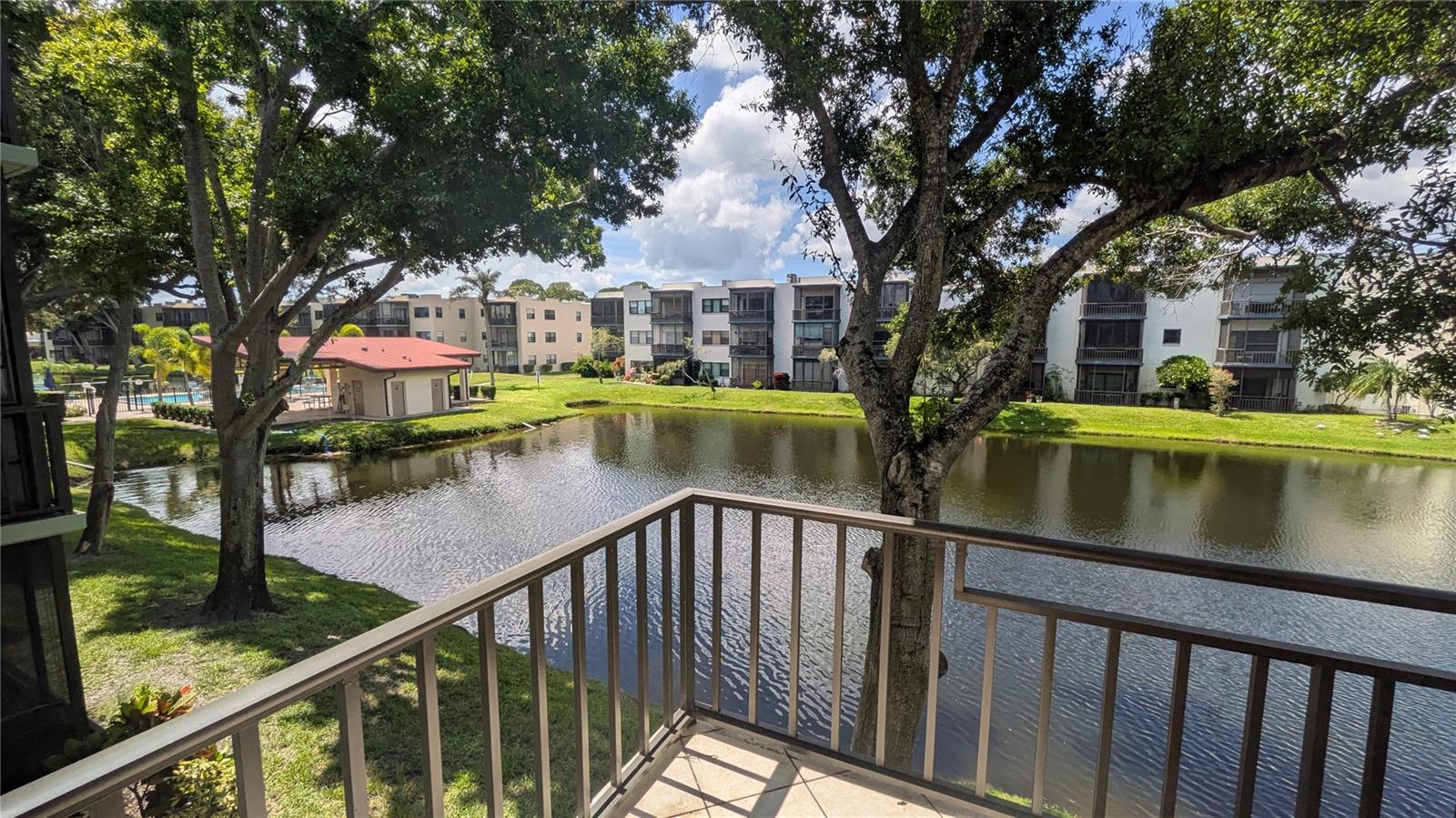 5980 TERRACE PARK DRIVE N, #206, St Petersburg, FL 33709