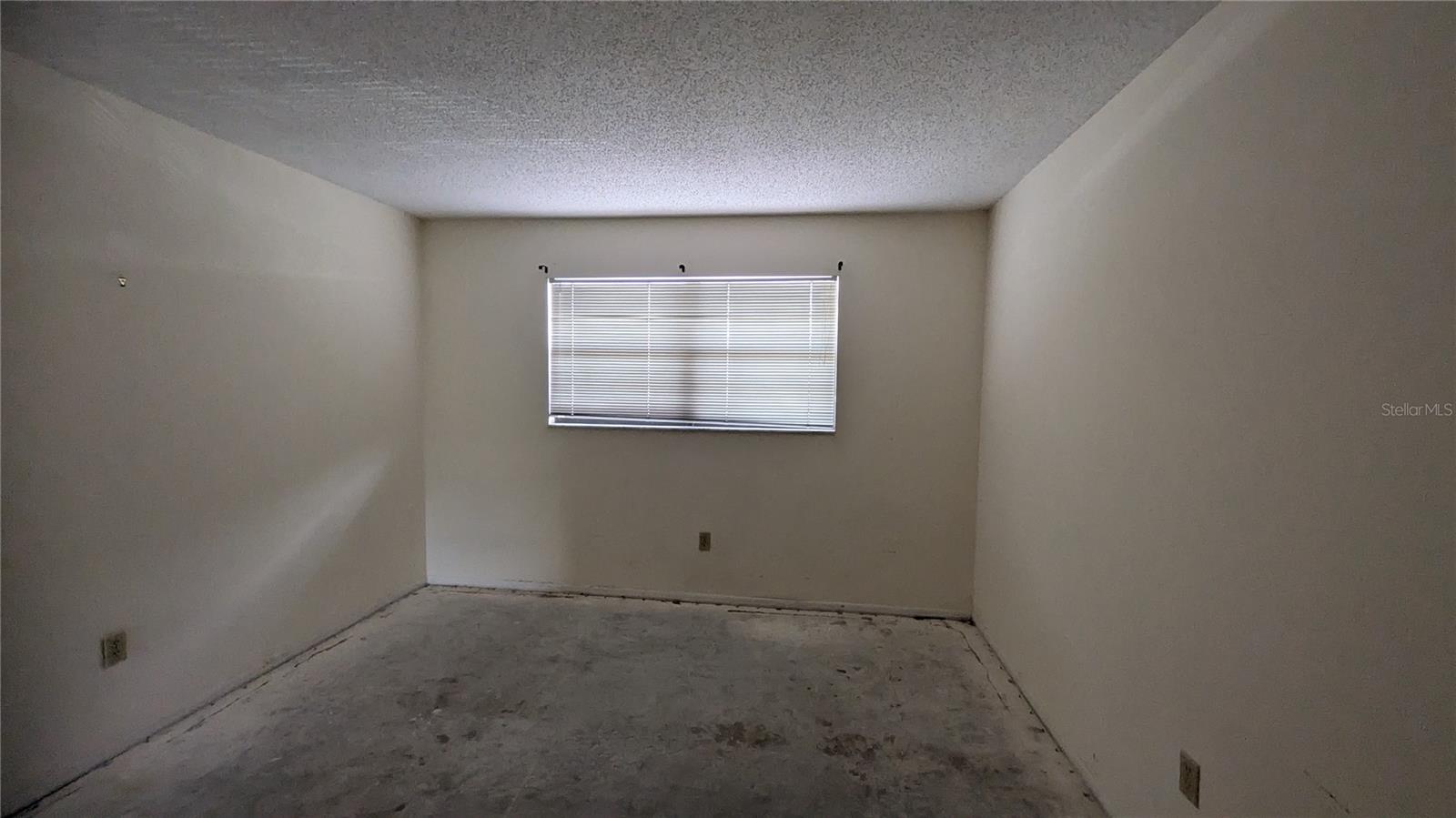 5980 TERRACE PARK DRIVE N, #206, St Petersburg, FL 33709