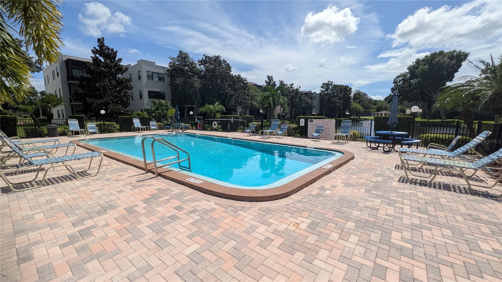 5980 TERRACE PARK DRIVE N, #206, St Petersburg, FL 33709