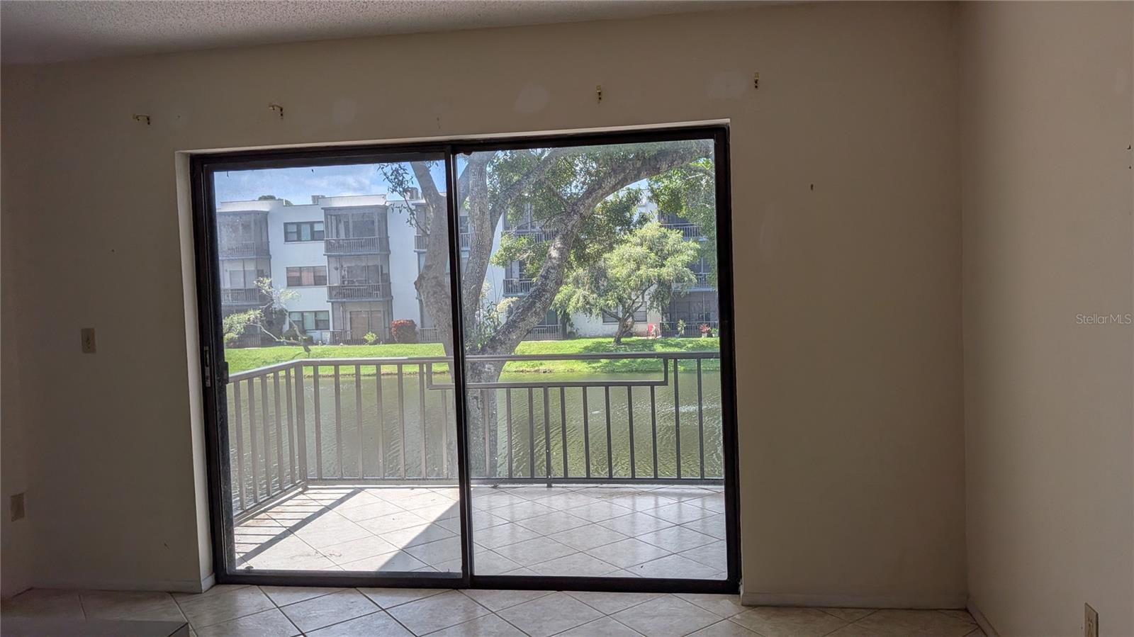 5980 TERRACE PARK DRIVE N, #206, St Petersburg, FL 33709