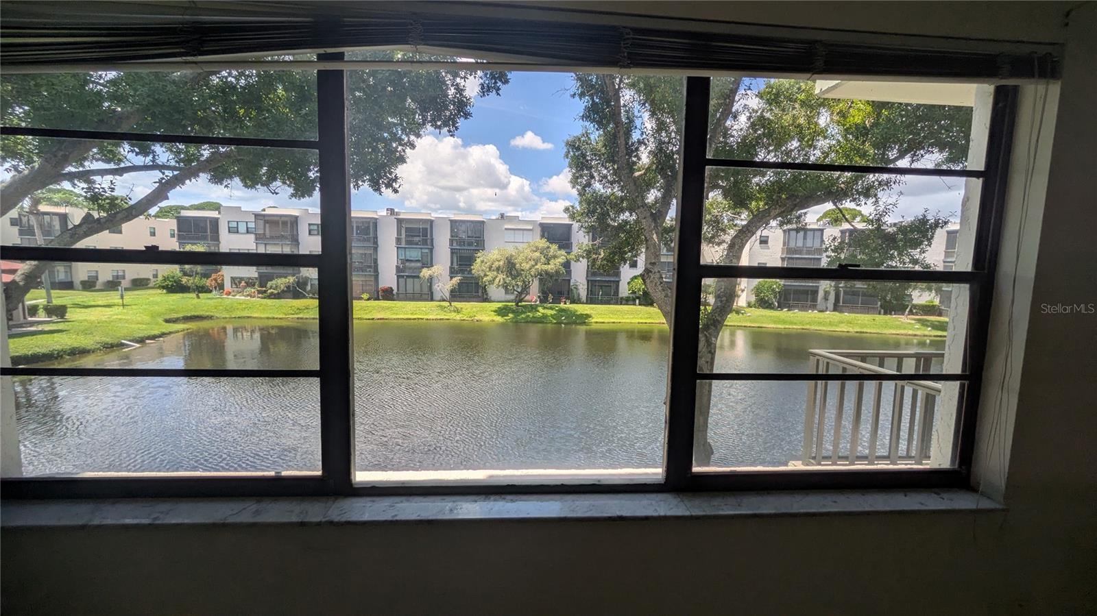 5980 TERRACE PARK DRIVE N, #206, St Petersburg, FL 33709