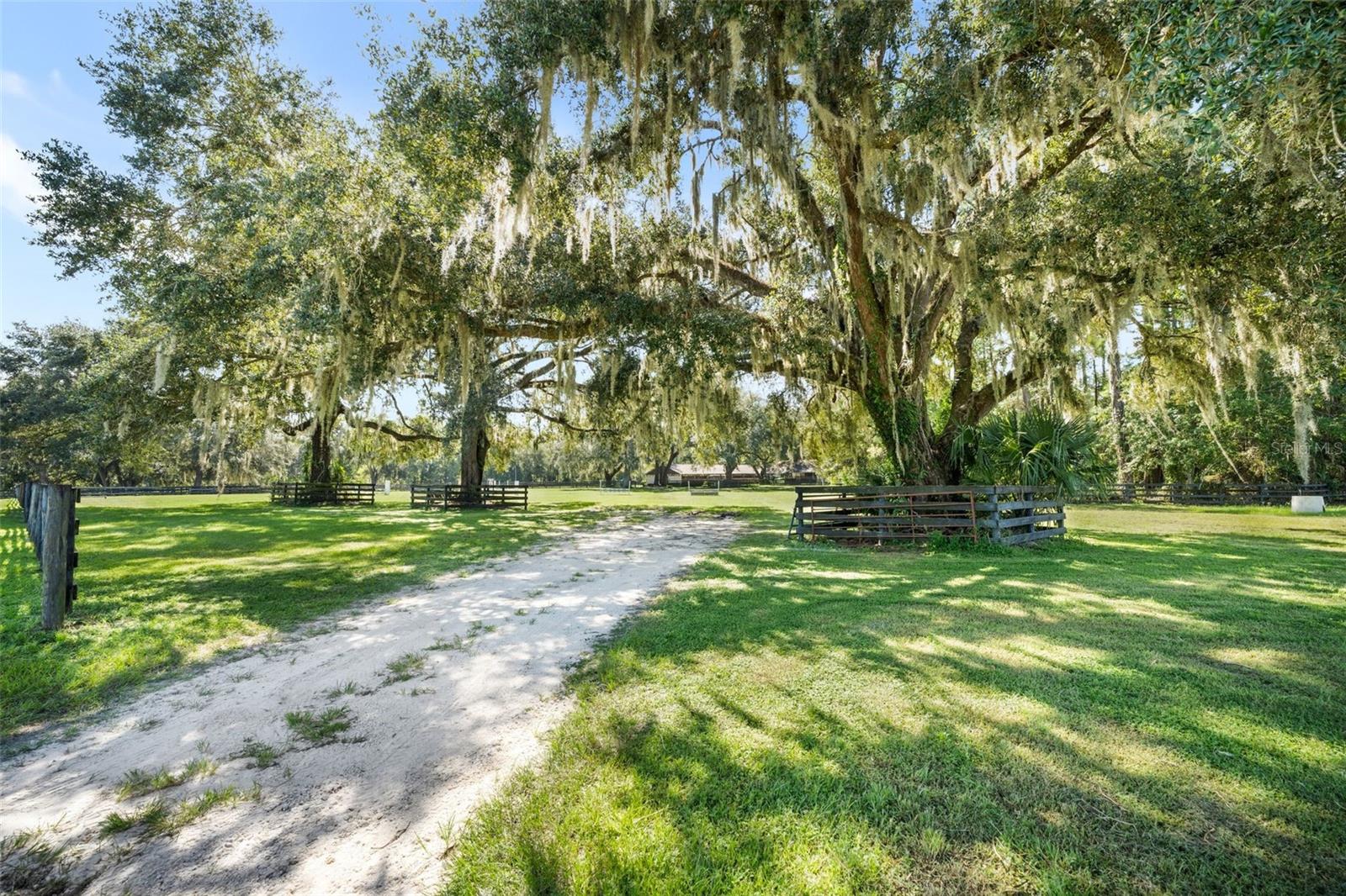 4615 NW 110TH AVENUE, Ocala, FL 34482