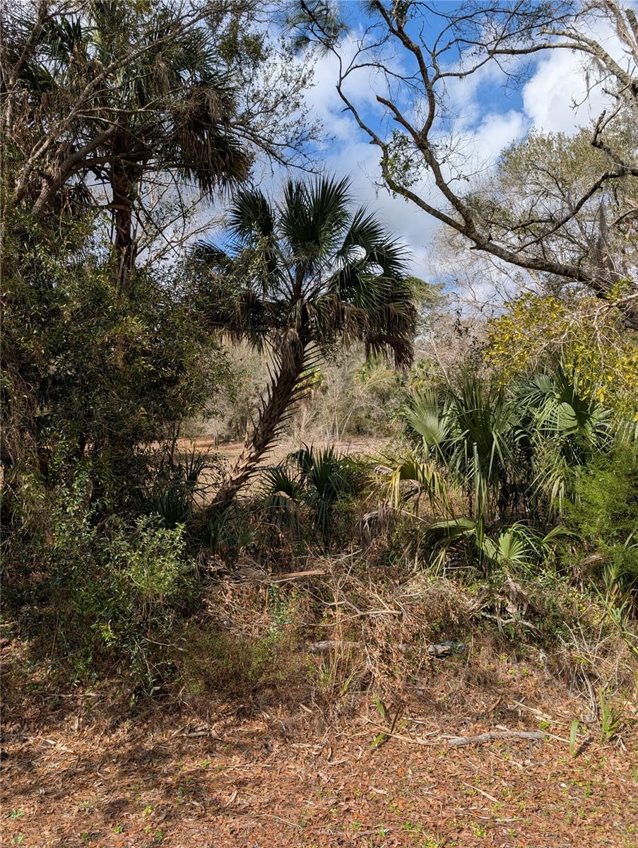 LORIE STREET, Inglis, FL 34449