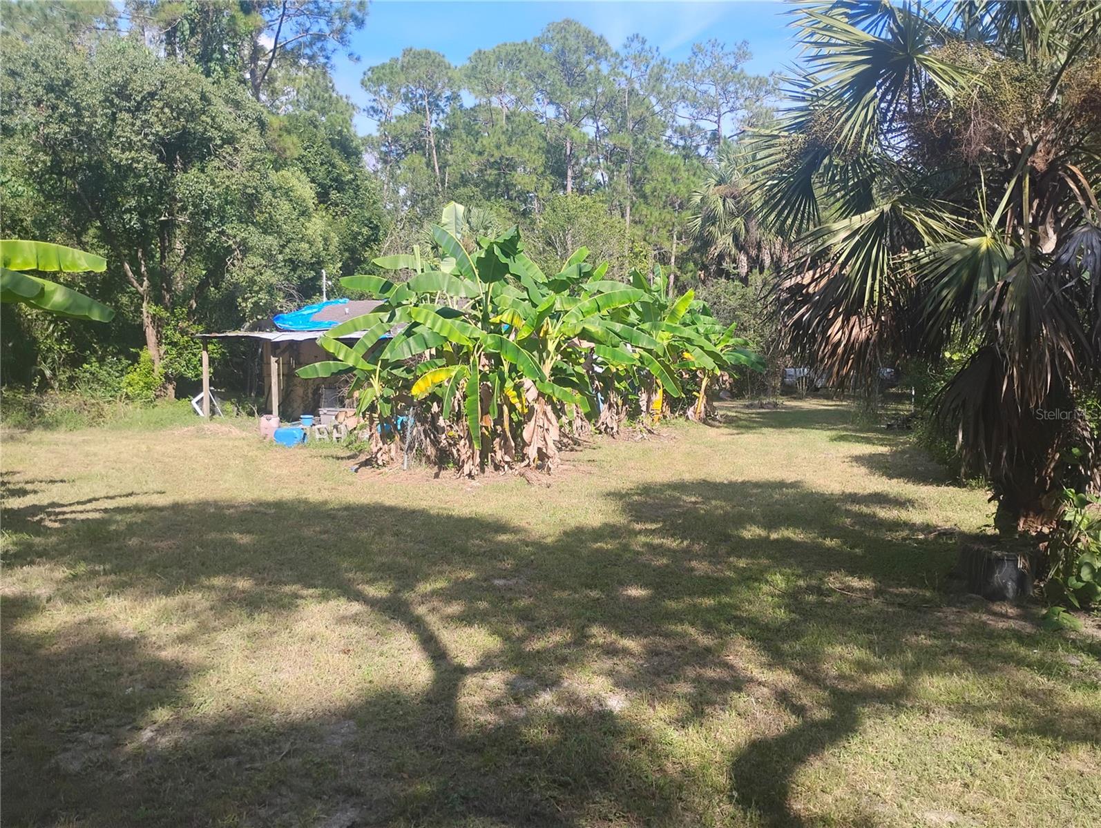 43907 MARIE AVENUE, Deland, FL 32720