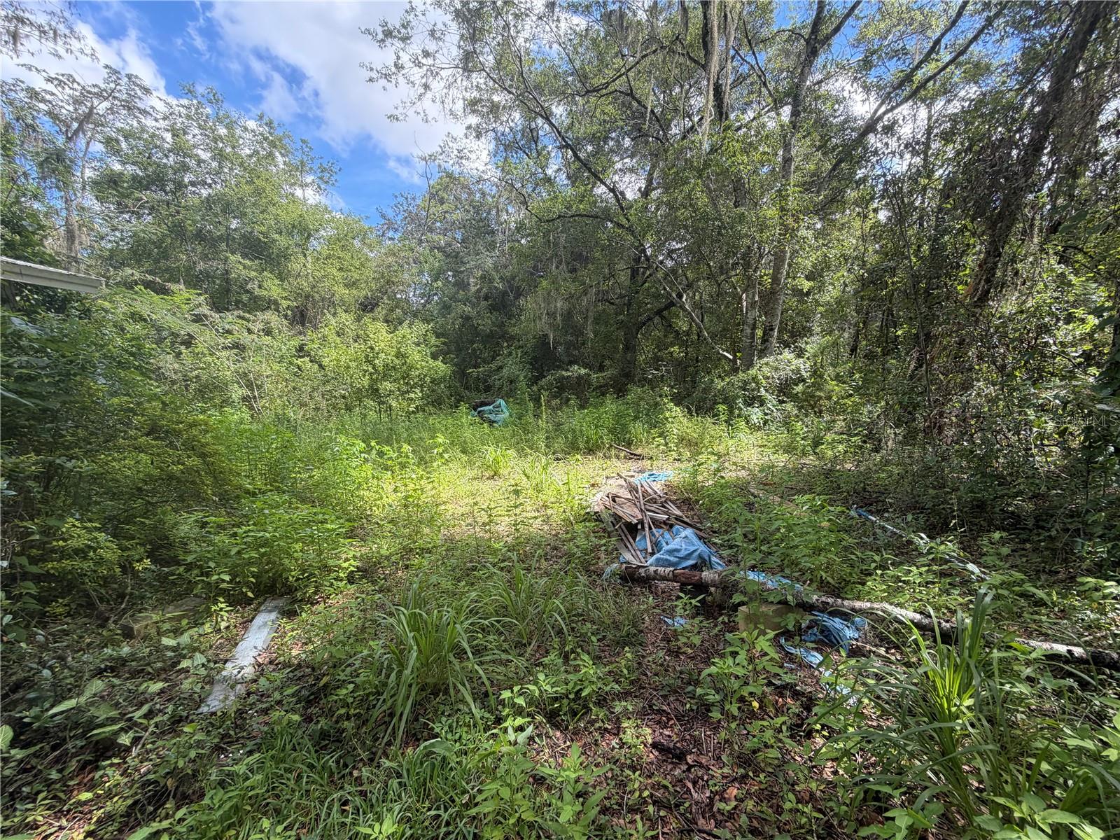 Alachua, FL 32615