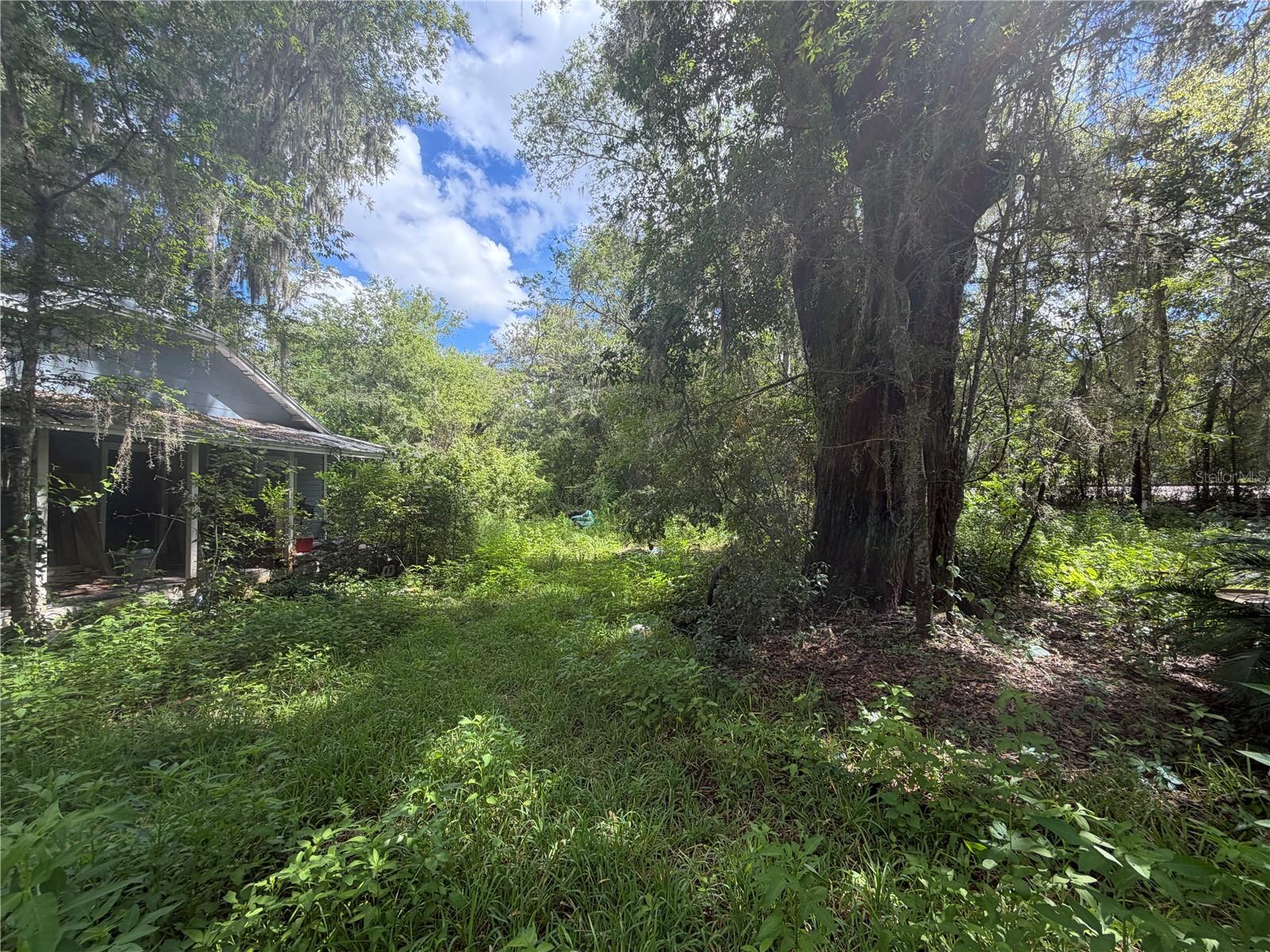 Alachua, FL 32615