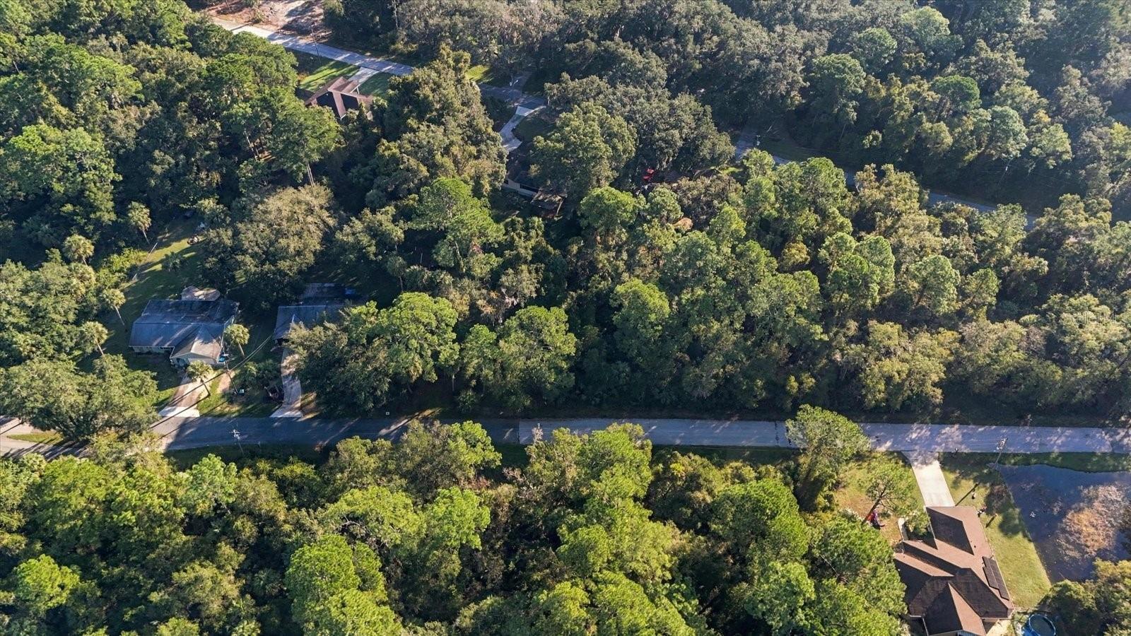 11129 W CEDAR LAKE DRIVE, Crystal River, FL 34428