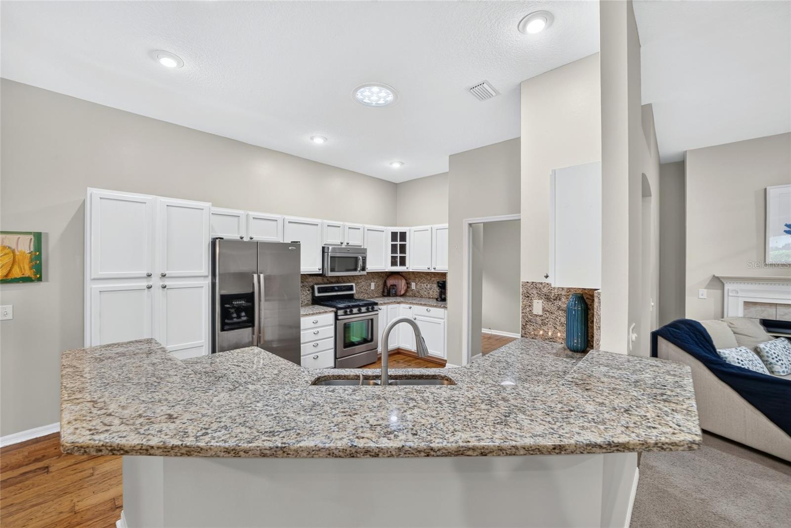 Kitche to the great room