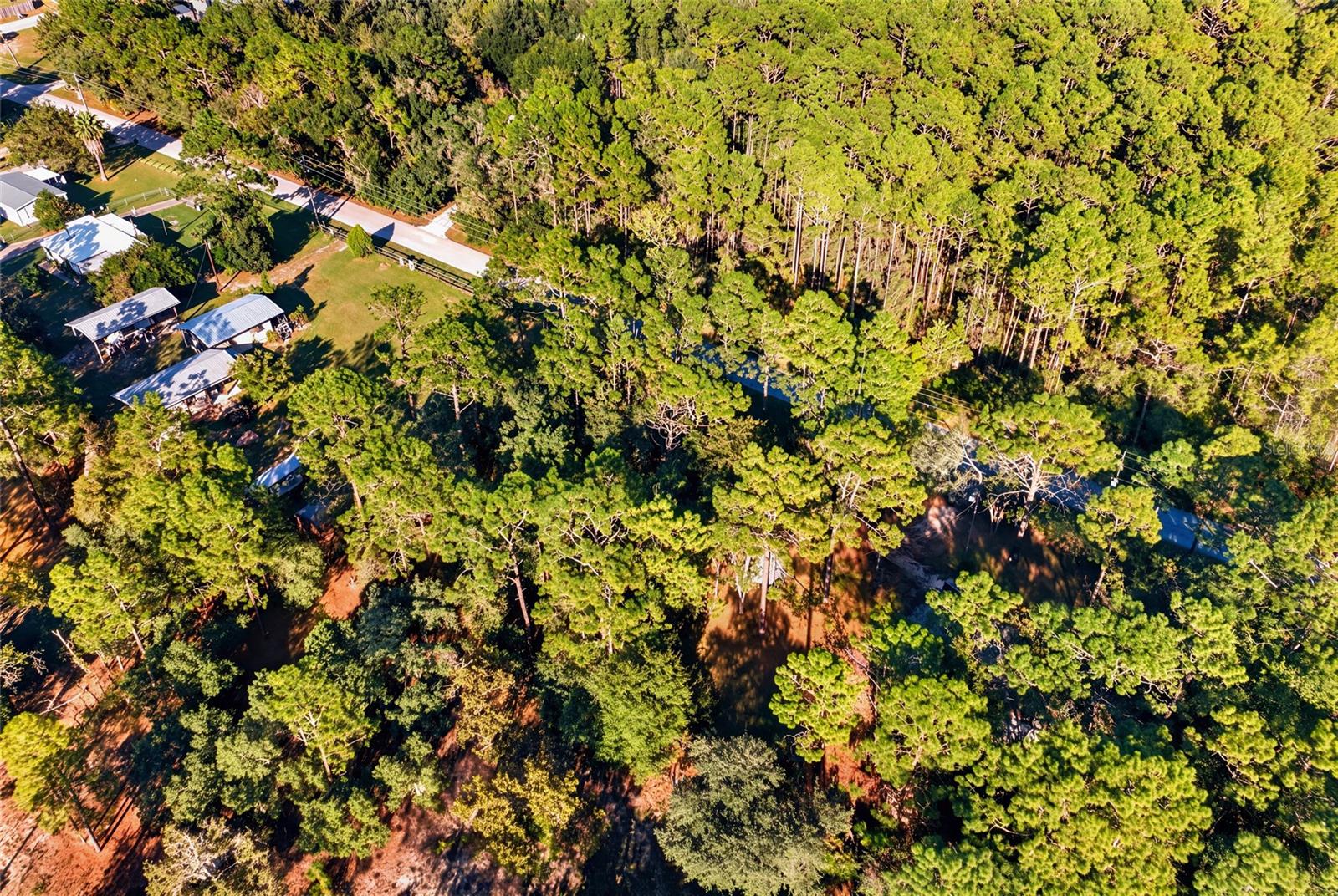 SW 176TH AVE, Dunnellon, FL 34432