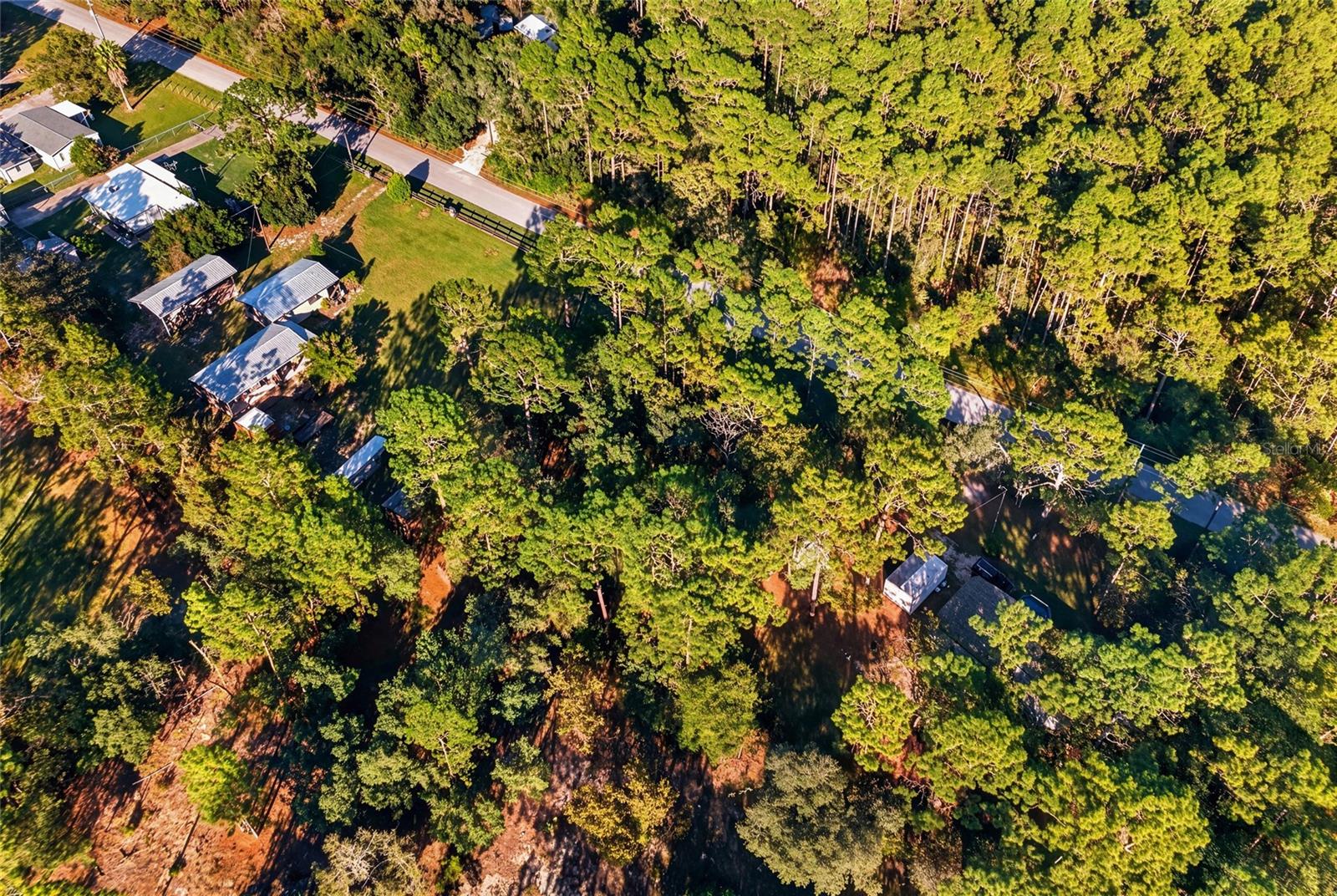 SW 176TH AVE, Dunnellon, FL 34432