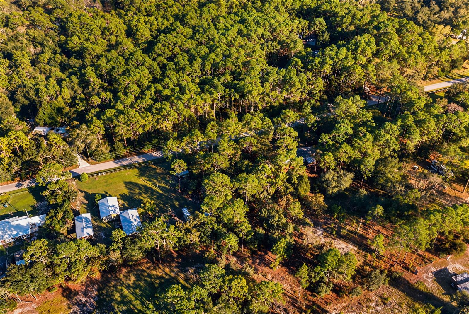 SW 176TH AVE, Dunnellon, FL 34432