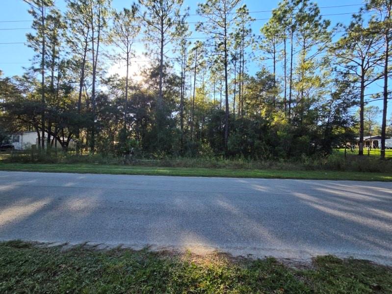 SW 176TH AVE, Dunnellon, FL 34432