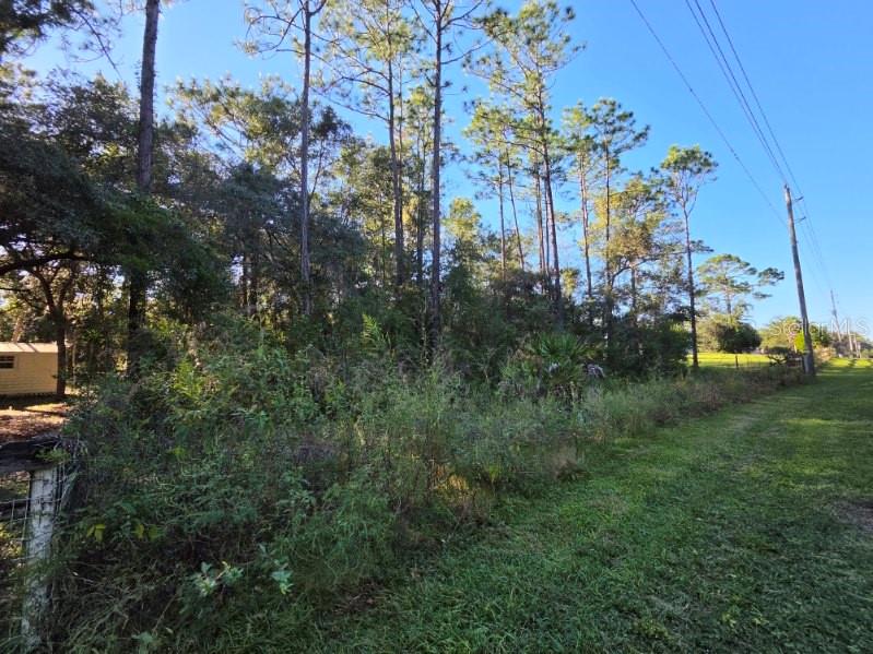 SW 176TH AVE, Dunnellon, FL 34432
