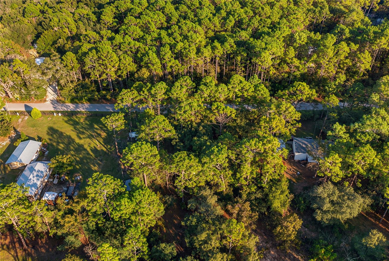 SW 176TH AVE, Dunnellon, FL 34432