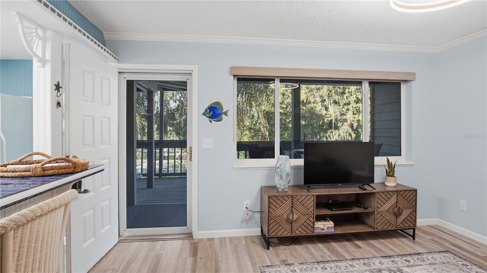 Living room from couch