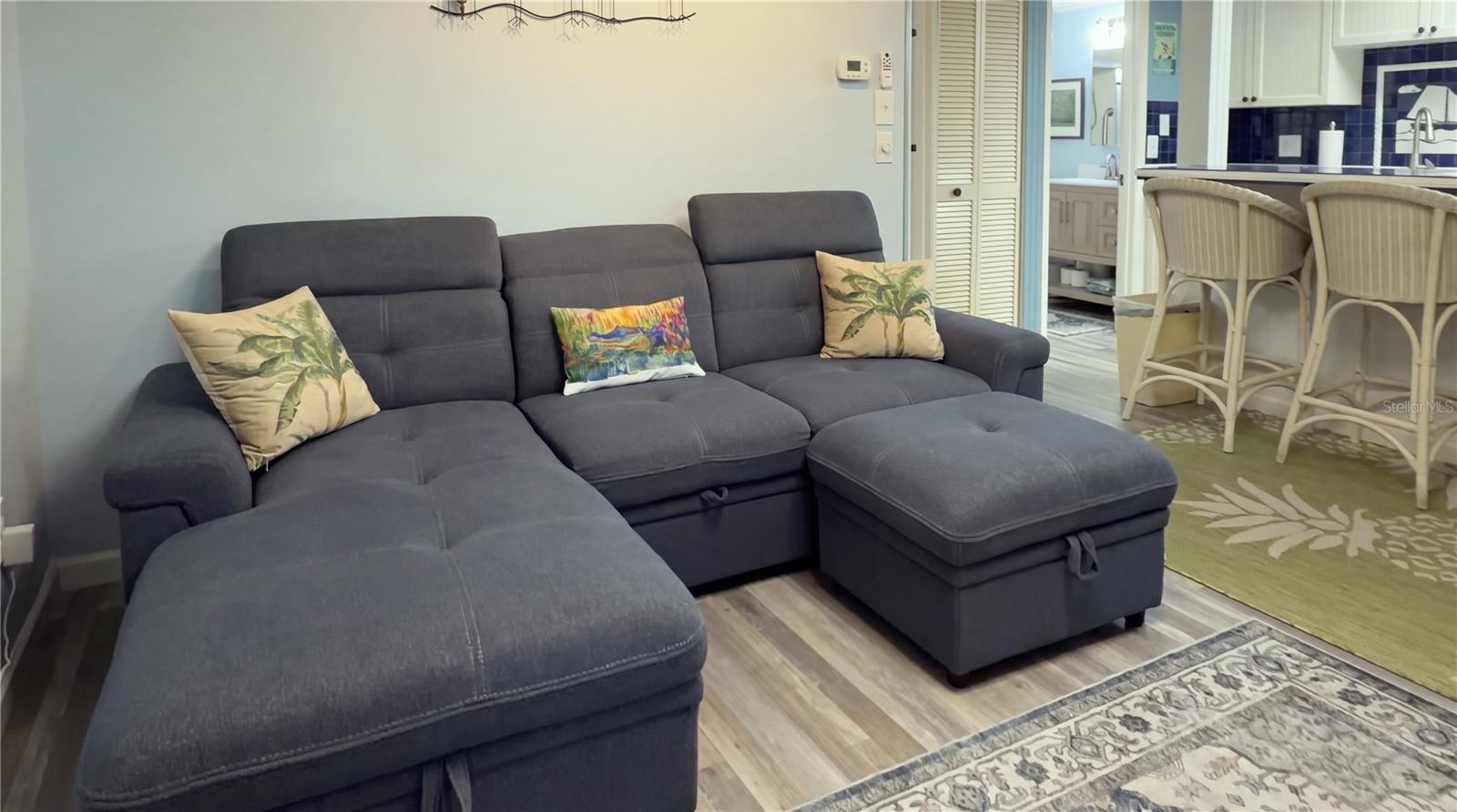 Sleeper Sofa