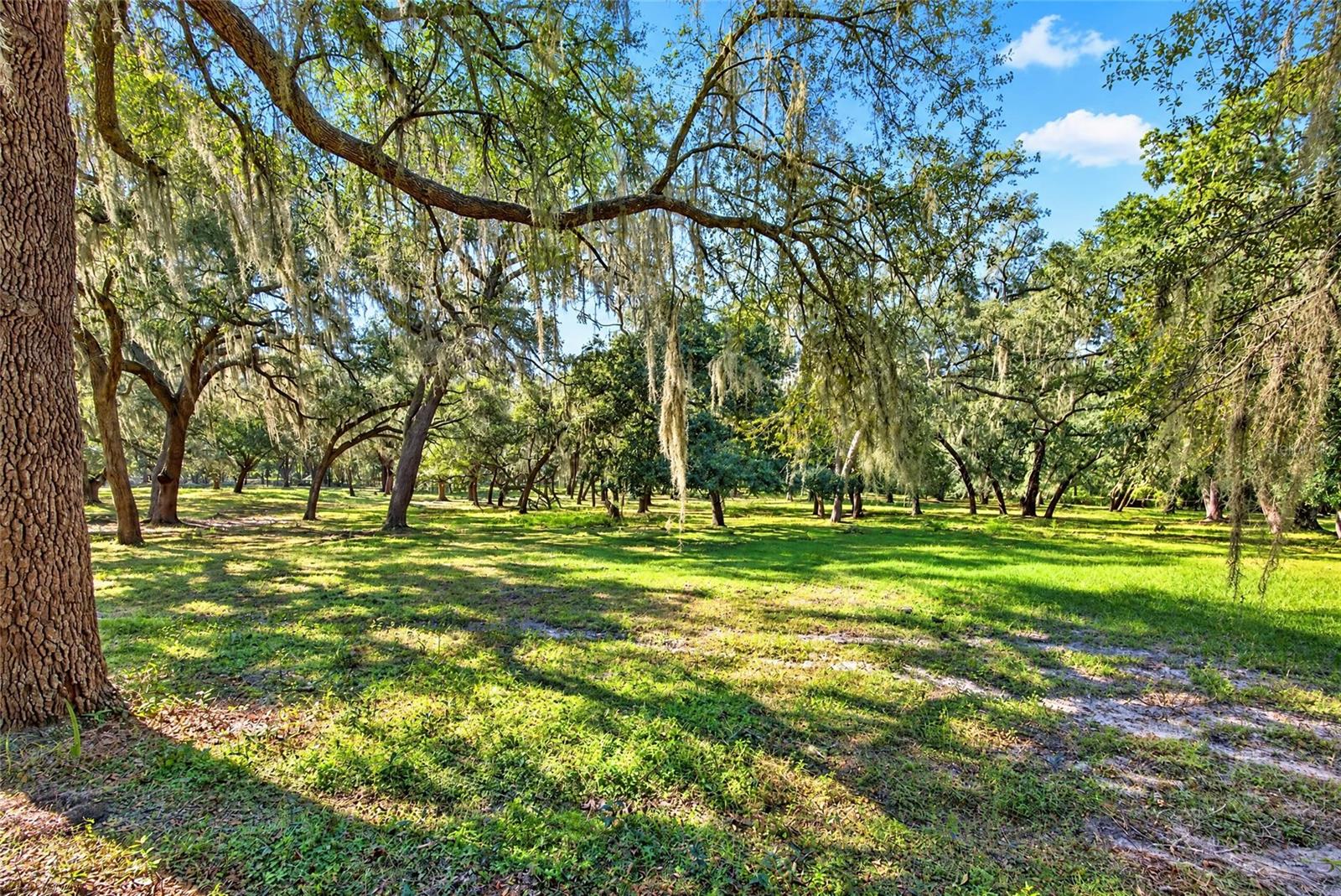 2750 NE 175TH STREET ROAD, Citra, FL 32113
