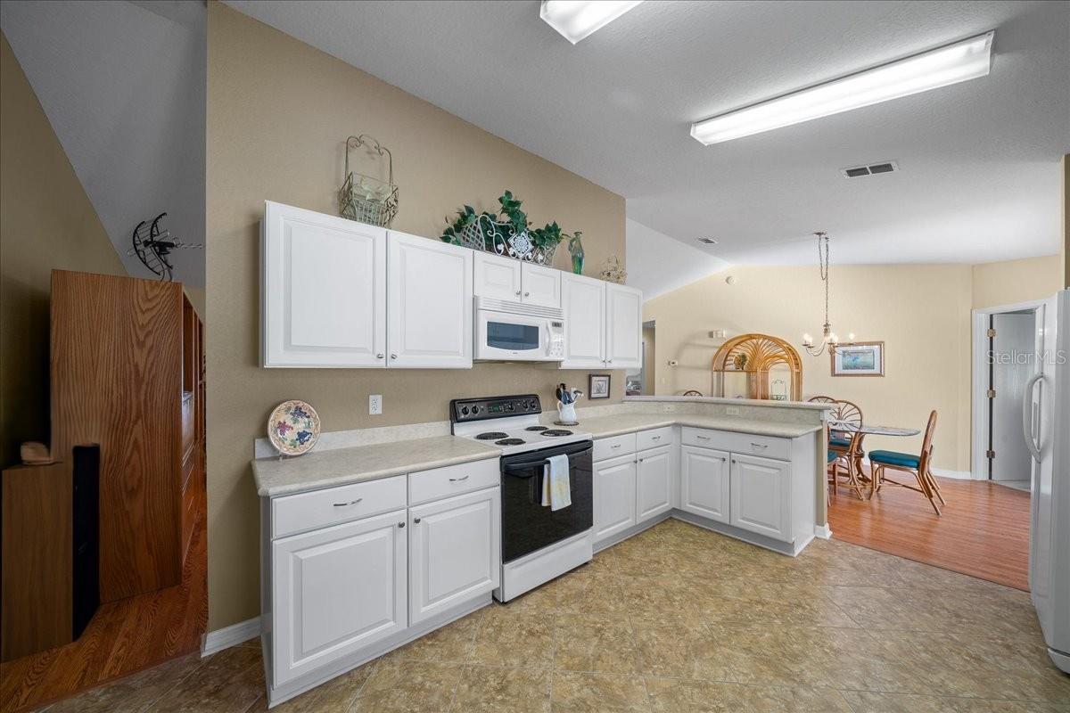 13885 SW 112TH CIRCLE, Dunnellon, FL 34432